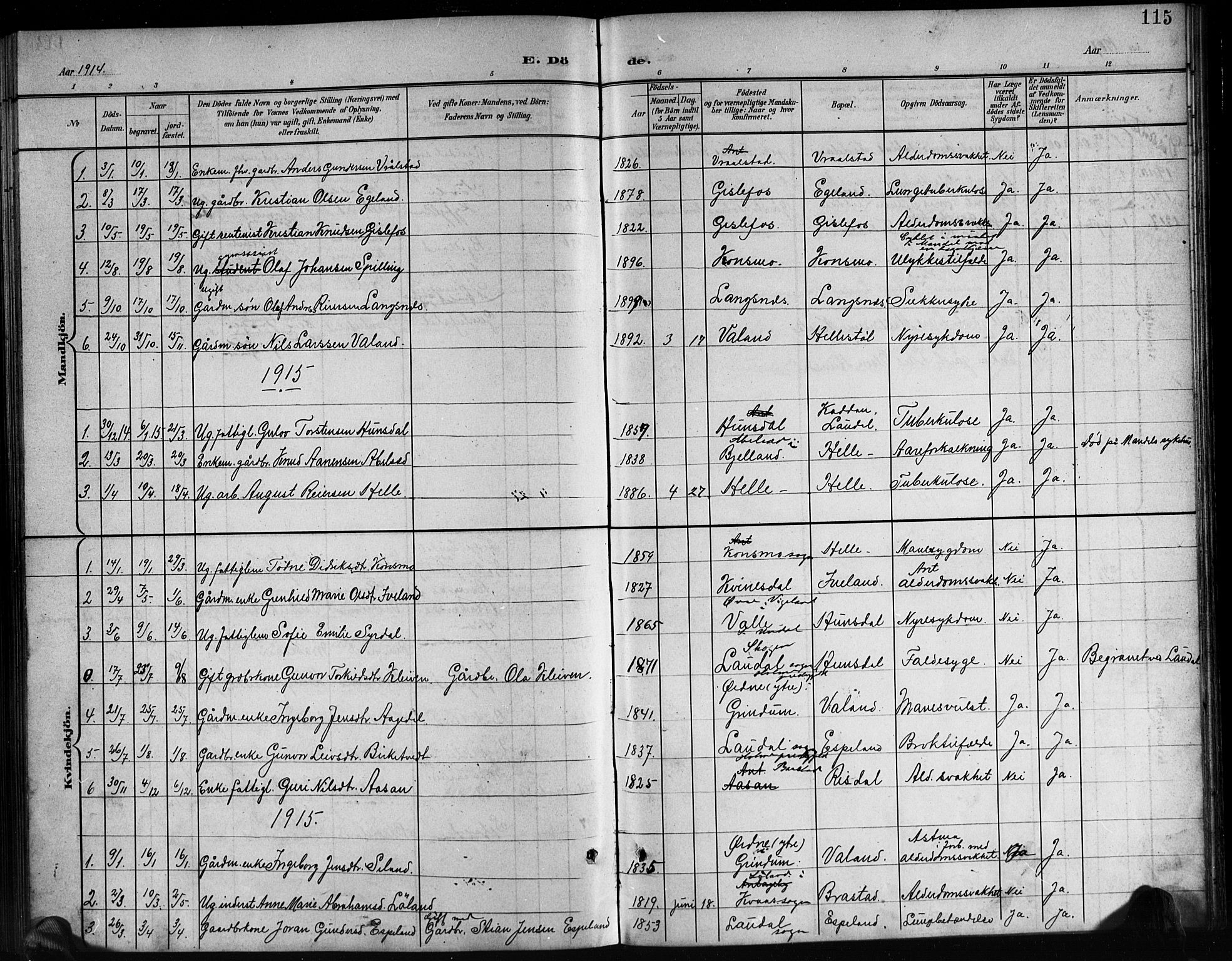 Nord-Audnedal sokneprestkontor, AV/SAK-1111-0032/F/Fb/Fba/L0004: Klokkerbok nr. B 4, 1901-1917, s. 115