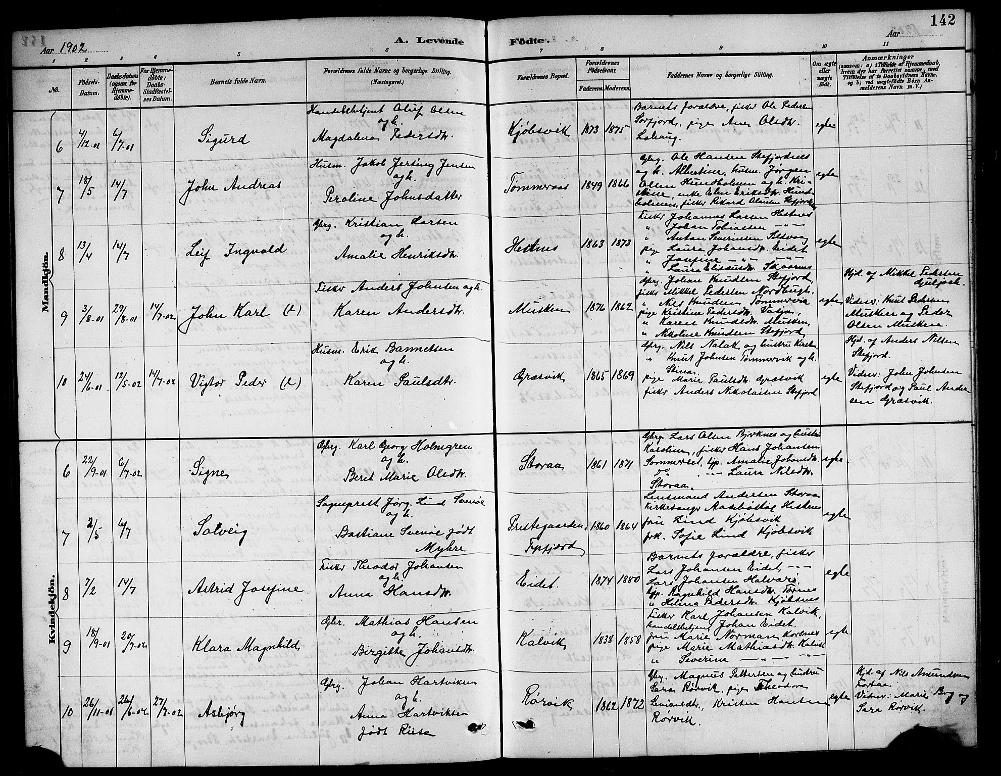Ministerialprotokoller, klokkerbøker og fødselsregistre - Nordland, AV/SAT-A-1459/861/L0876: Klokkerbok nr. 861C02, 1887-1903, s. 142
