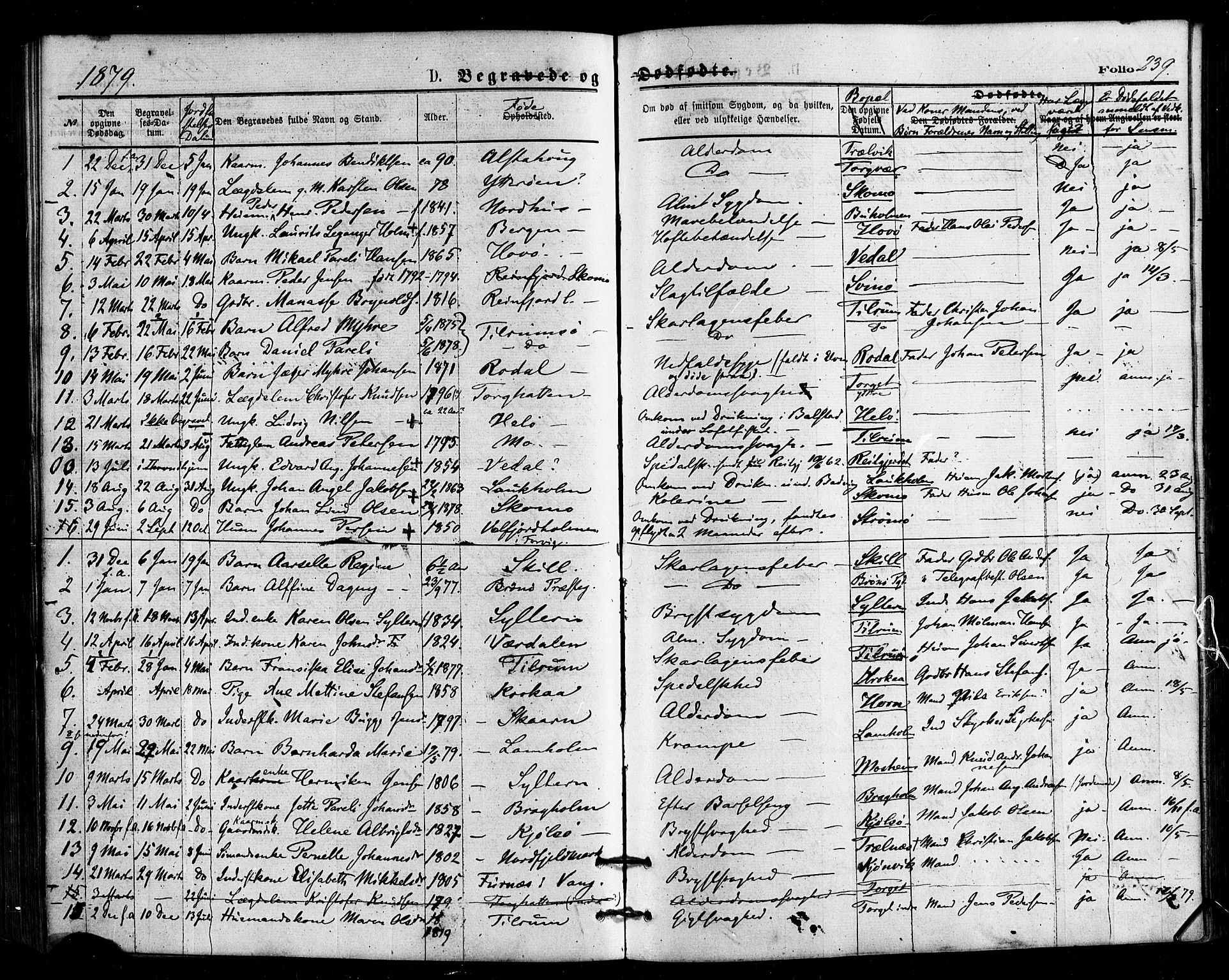Ministerialprotokoller, klokkerbøker og fødselsregistre - Nordland, AV/SAT-A-1459/813/L0199: Ministerialbok nr. 813A09, 1875-1885, s. 239