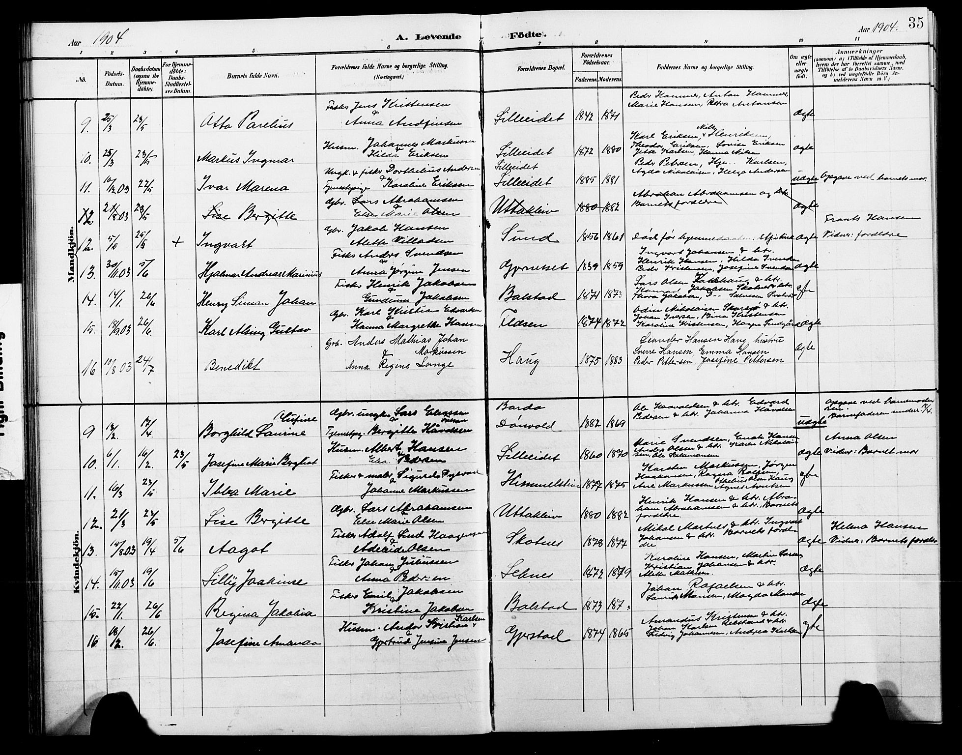 Ministerialprotokoller, klokkerbøker og fødselsregistre - Nordland, AV/SAT-A-1459/881/L1168: Klokkerbok nr. 881C05, 1900-1911, s. 35