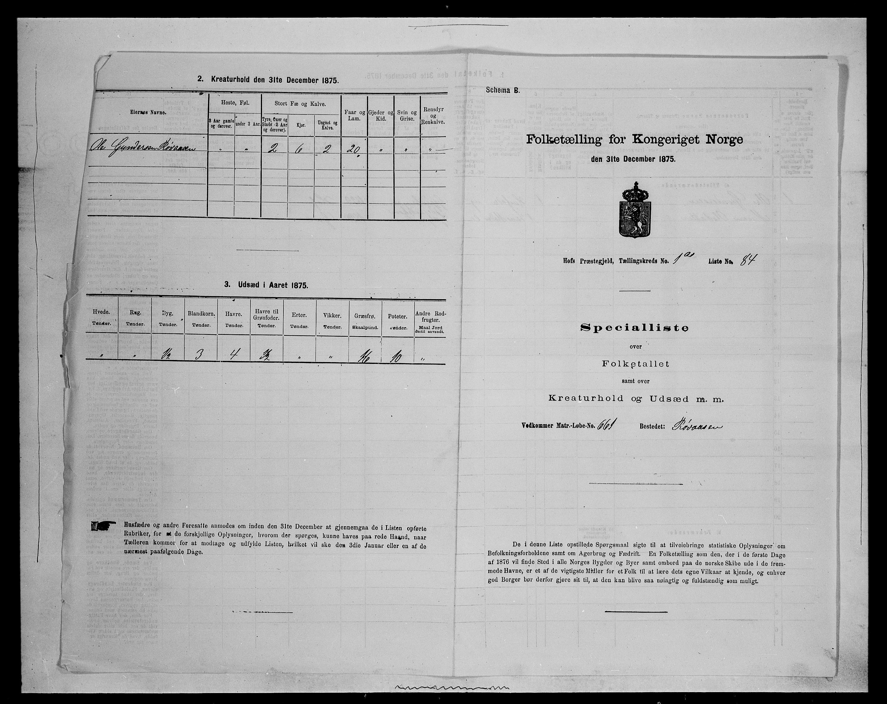 SAH, Folketelling 1875 for 0424P Hof prestegjeld, 1875, s. 176