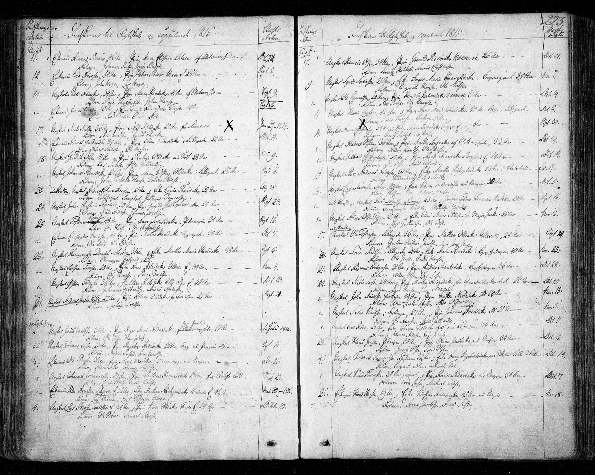 Aker prestekontor kirkebøker, SAO/A-10861/F/L0011: Ministerialbok nr. 11, 1810-1819, s. 223