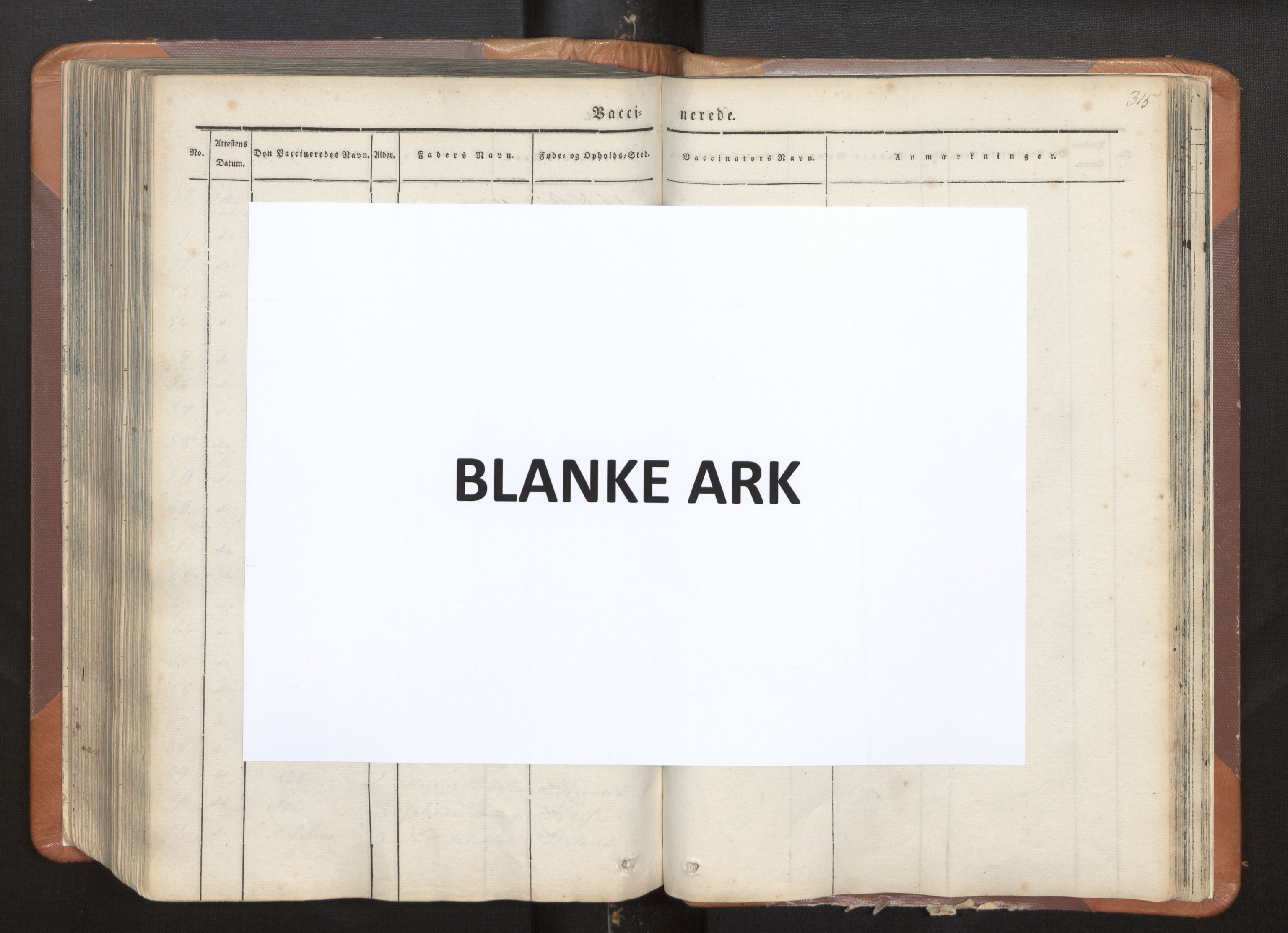 Hosanger sokneprestembete, AV/SAB-A-75801/H/Haa: Ministerialbok nr. A 7, 1835-1848, s. 315