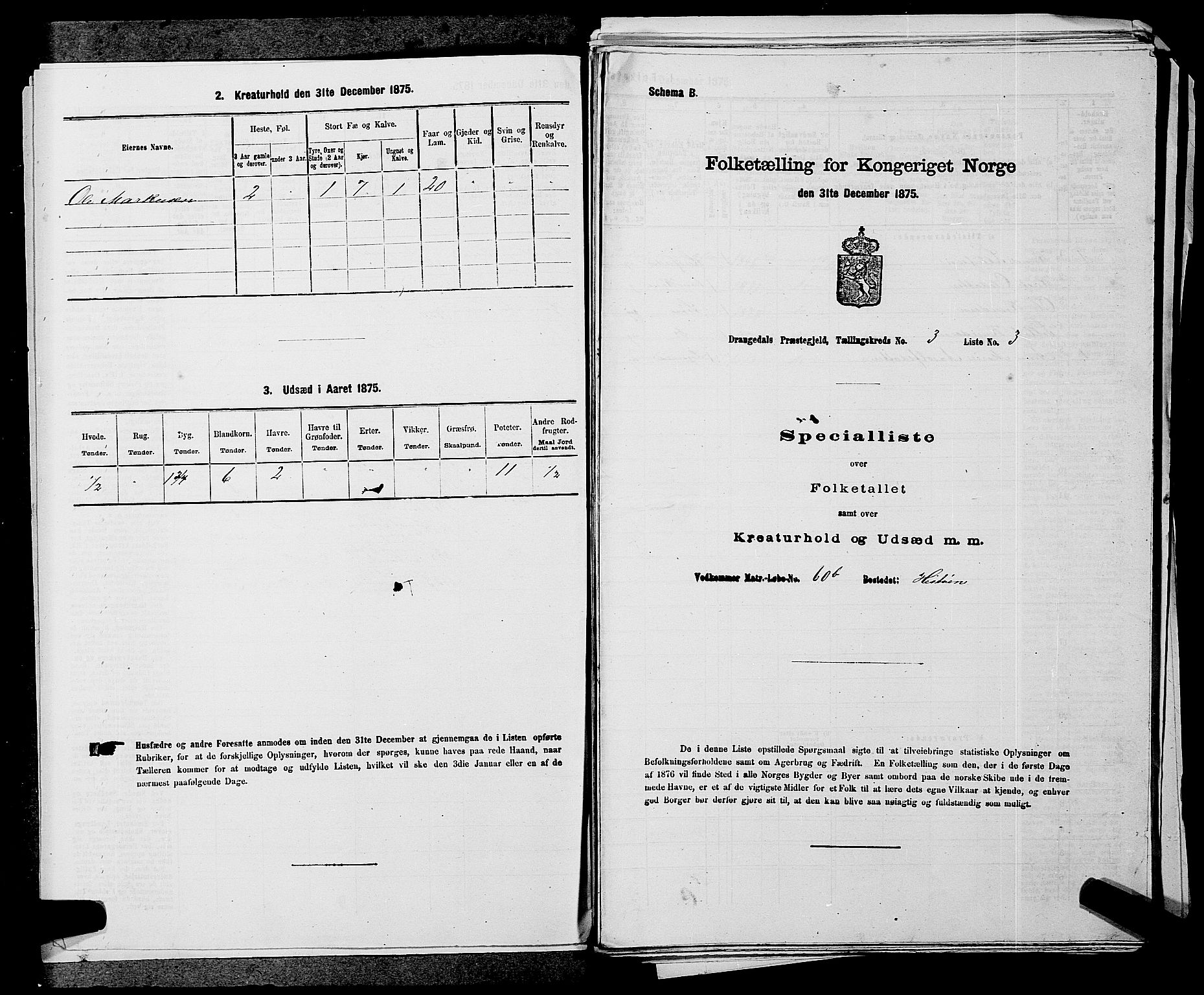 SAKO, Folketelling 1875 for 0817P Drangedal prestegjeld, 1875, s. 333