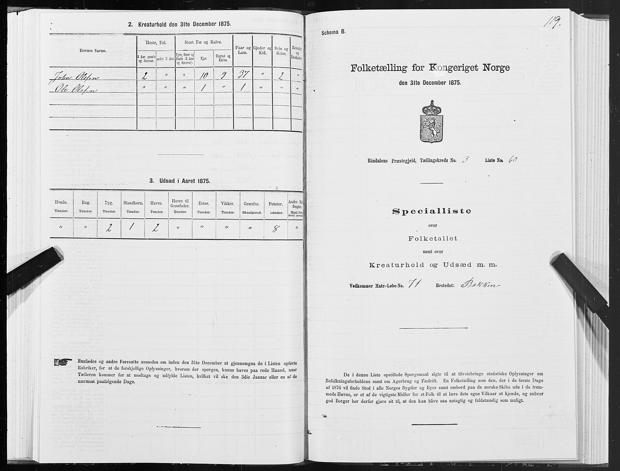 SAT, Folketelling 1875 for 1567P Rindal prestegjeld, 1875, s. 2119