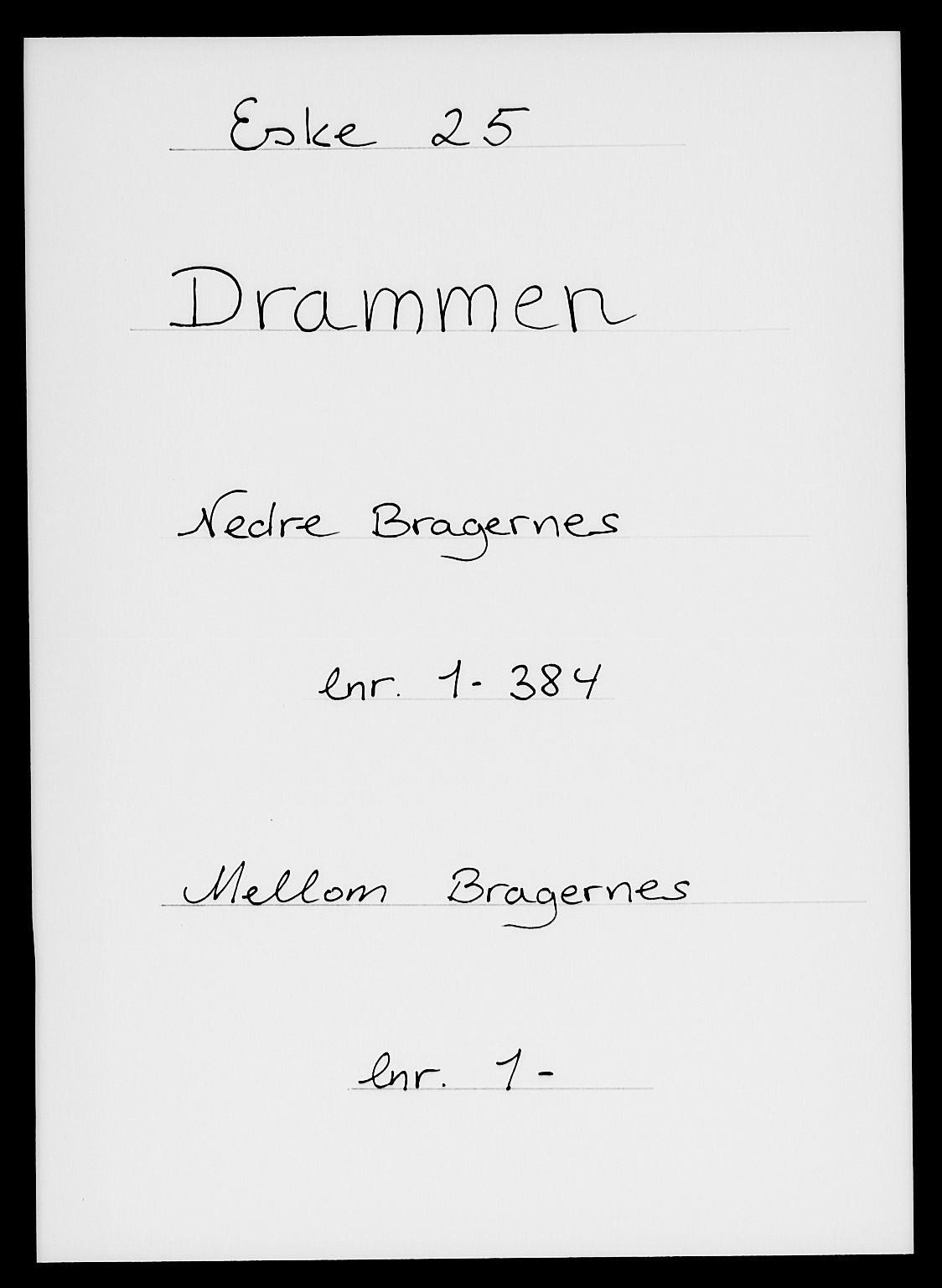 SAKO, Folketelling 1885 for 0602 Drammen kjøpstad, 1885, s. 1314