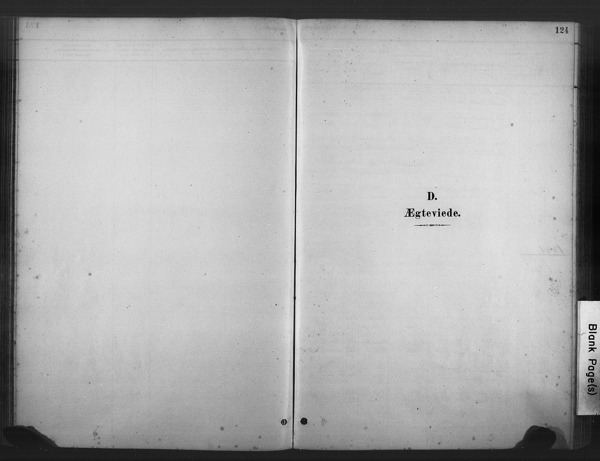Ministerialprotokoller, klokkerbøker og fødselsregistre - Møre og Romsdal, SAT/A-1454/583/L0954: Ministerialbok nr. 583A01, 1880-1906, s. 124