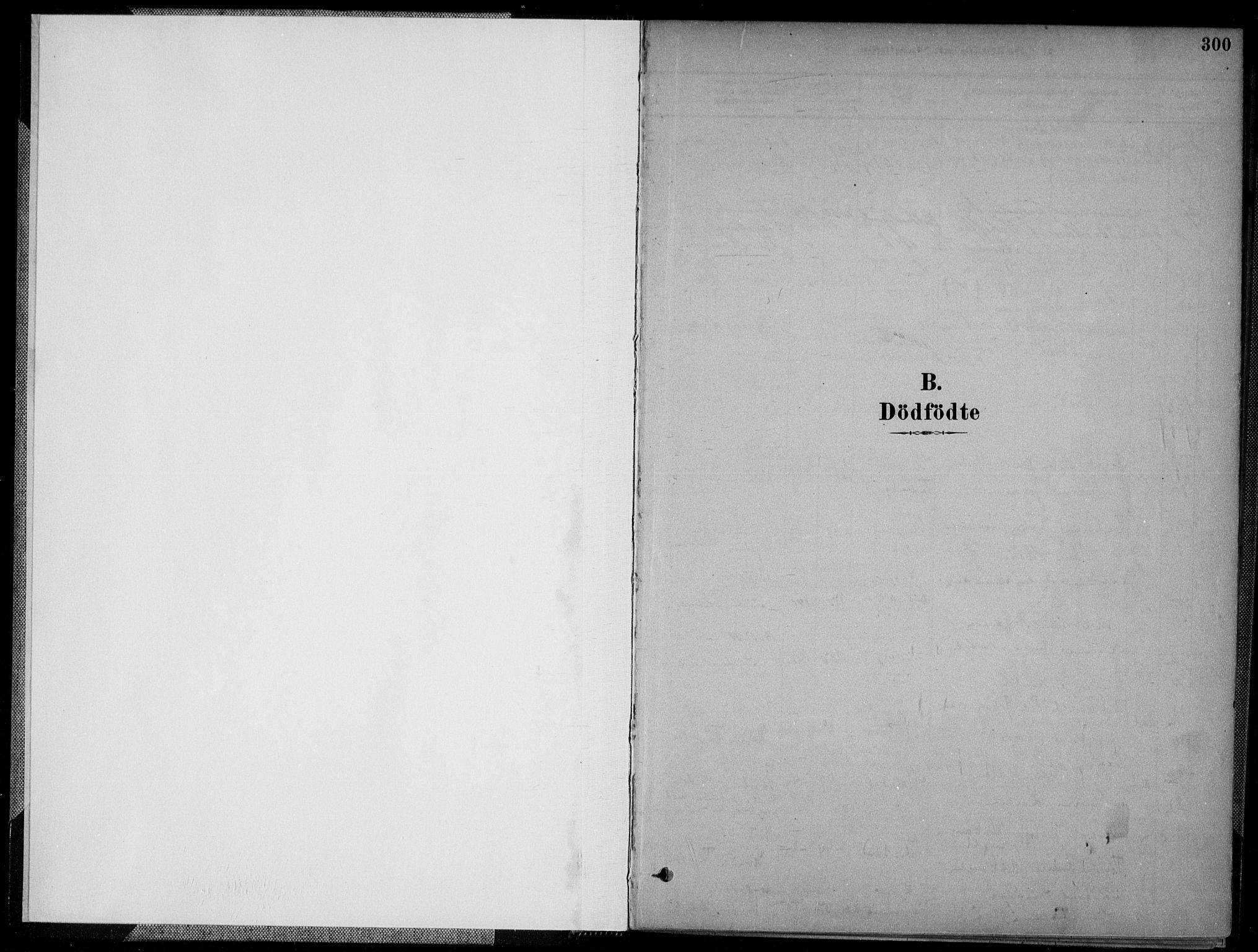 Kristiansand domprosti, AV/SAK-1112-0006/F/Fa/L0017: Ministerialbok nr. A 16B, 1880-1890, s. 300