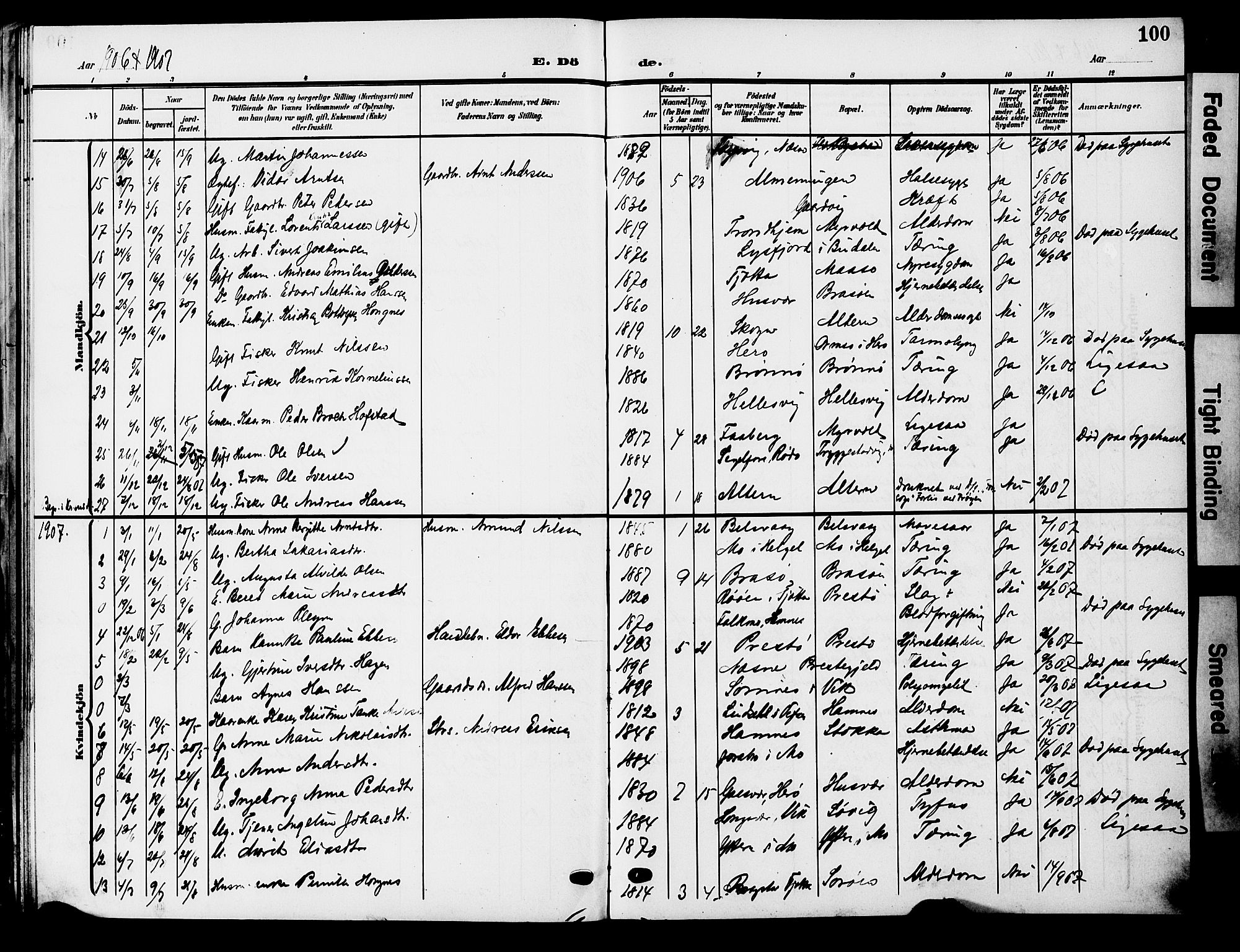 Ministerialprotokoller, klokkerbøker og fødselsregistre - Nordland, AV/SAT-A-1459/830/L0464: Klokkerbok nr. 830C06, 1906-1925, s. 100