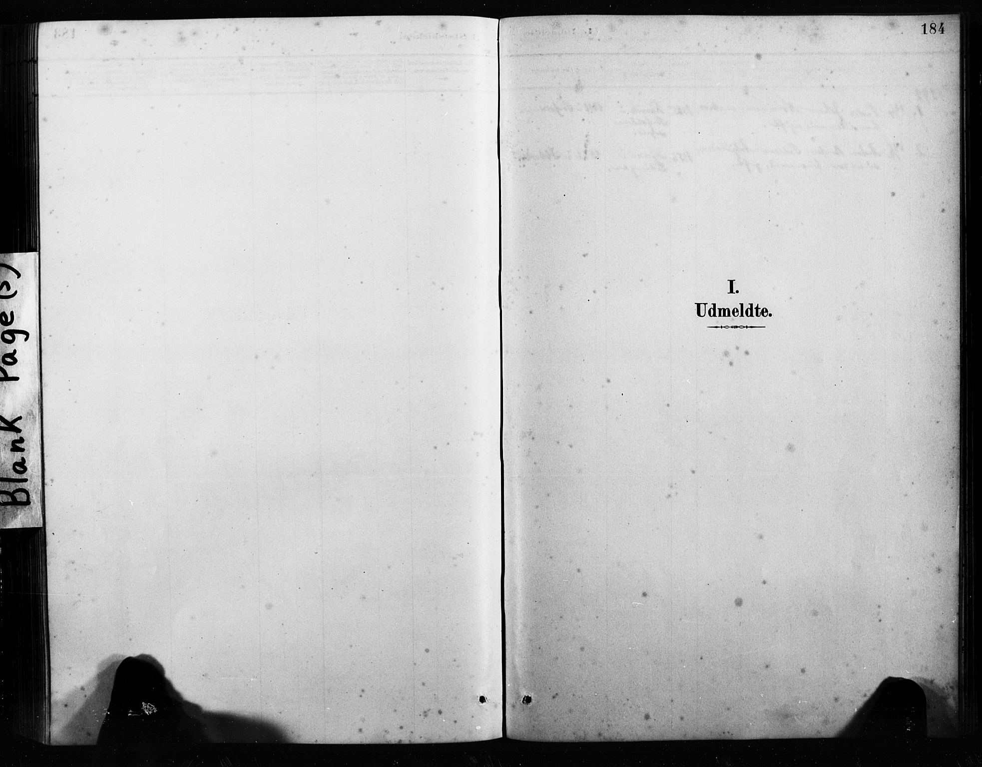 Ministerialprotokoller, klokkerbøker og fødselsregistre - Nordland, SAT/A-1459/858/L0834: Klokkerbok nr. 858C01, 1884-1904, s. 184