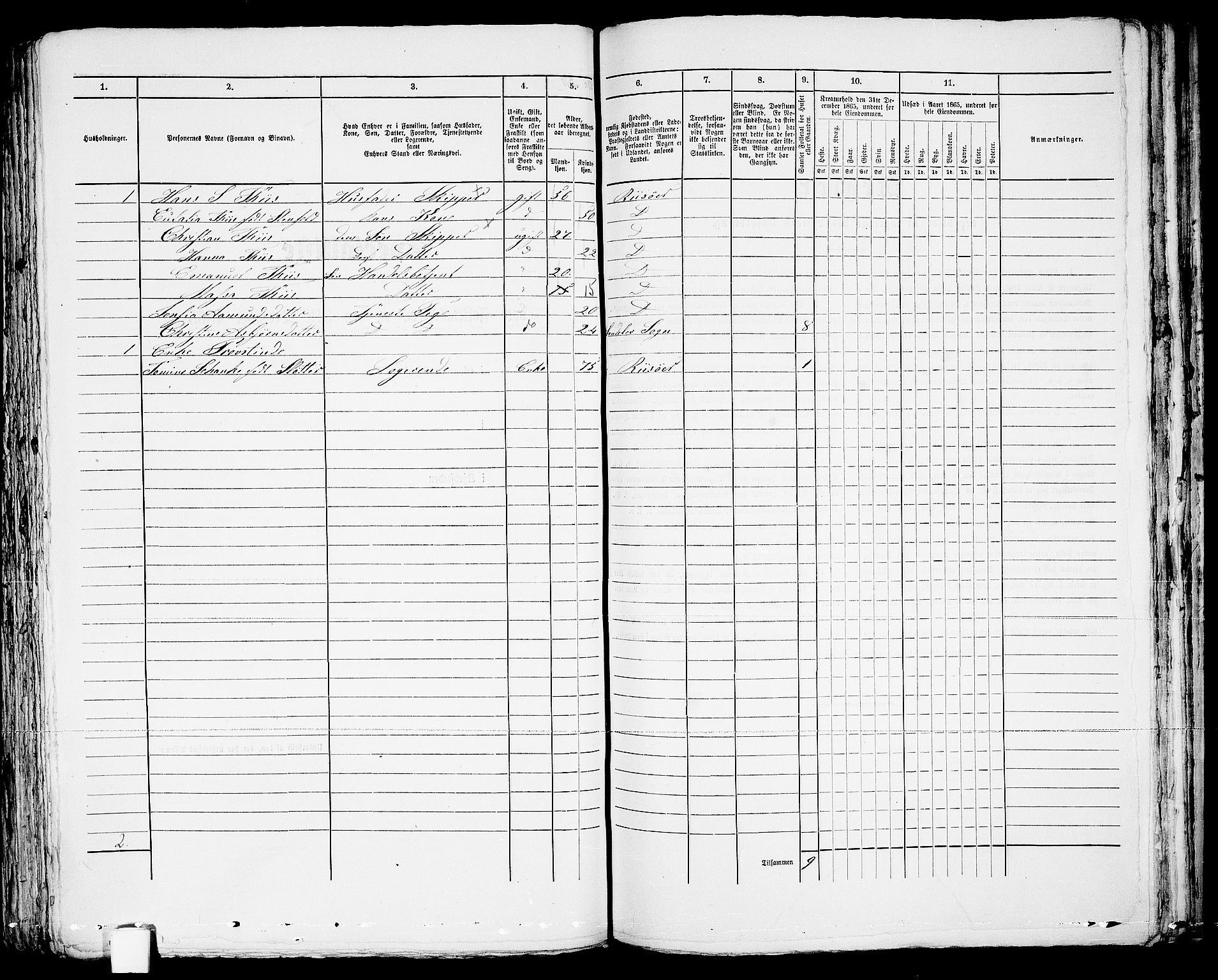 RA, Folketelling 1865 for 0901B Risør prestegjeld, Risør kjøpstad, 1865, s. 260