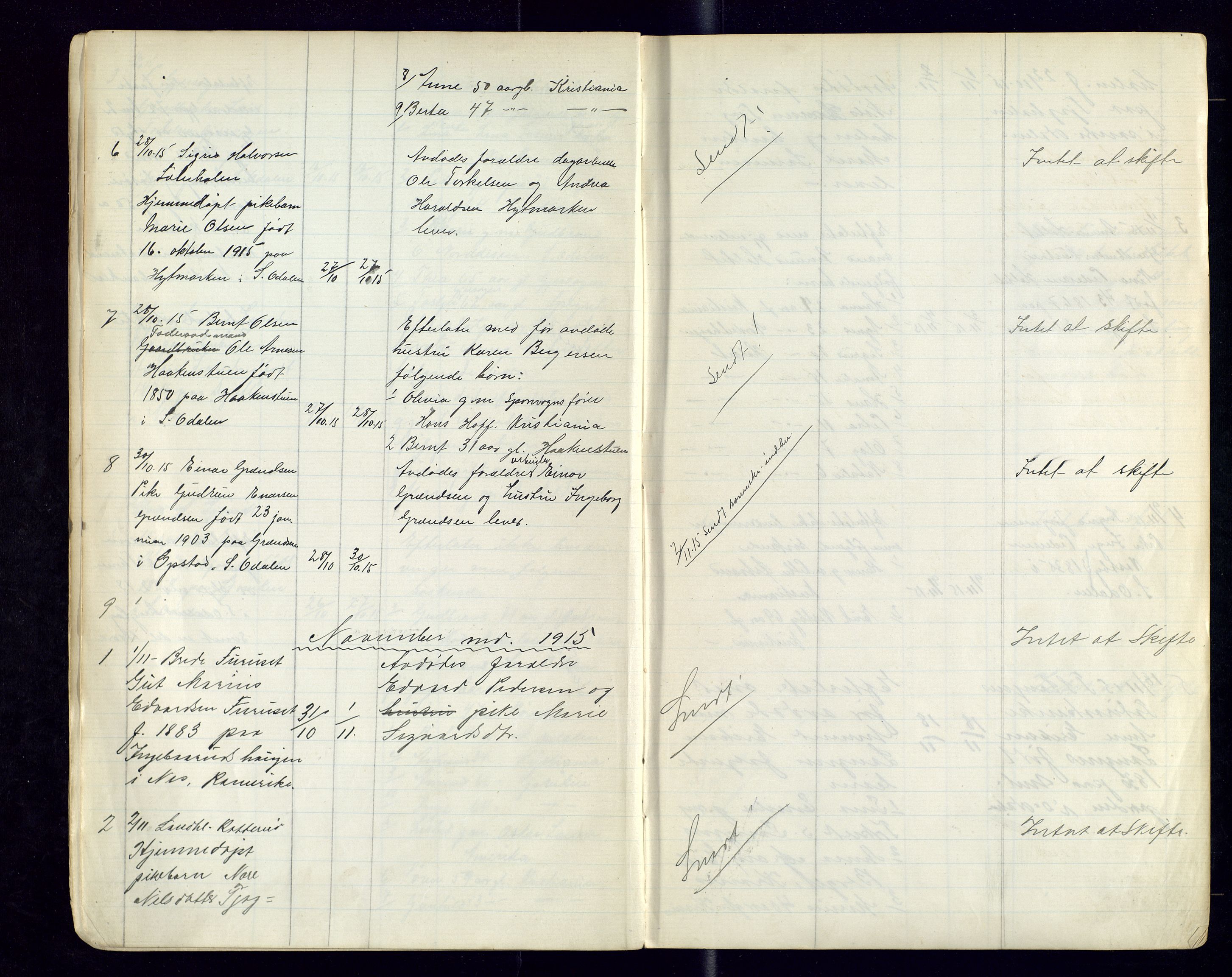 Sør-Odal lensmannskontor, AV/SAH-LHS-022/H/Hb/L0002/0002: Protokoller over anmeldte dødsfall / Protokoll over anmeldte dødsfall, 1915-1921