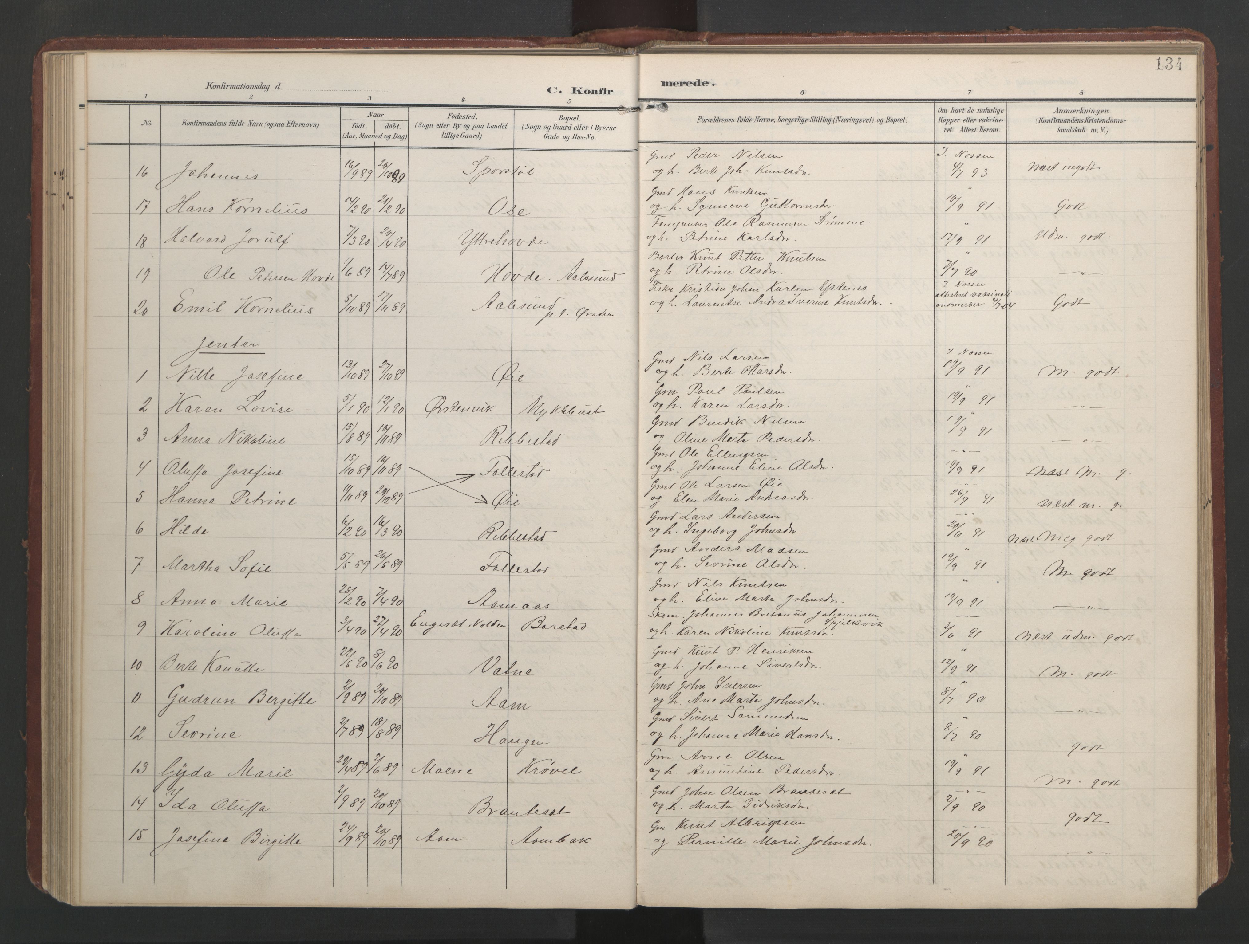 Ministerialprotokoller, klokkerbøker og fødselsregistre - Møre og Romsdal, AV/SAT-A-1454/513/L0190: Klokkerbok nr. 513C04, 1904-1926, s. 134