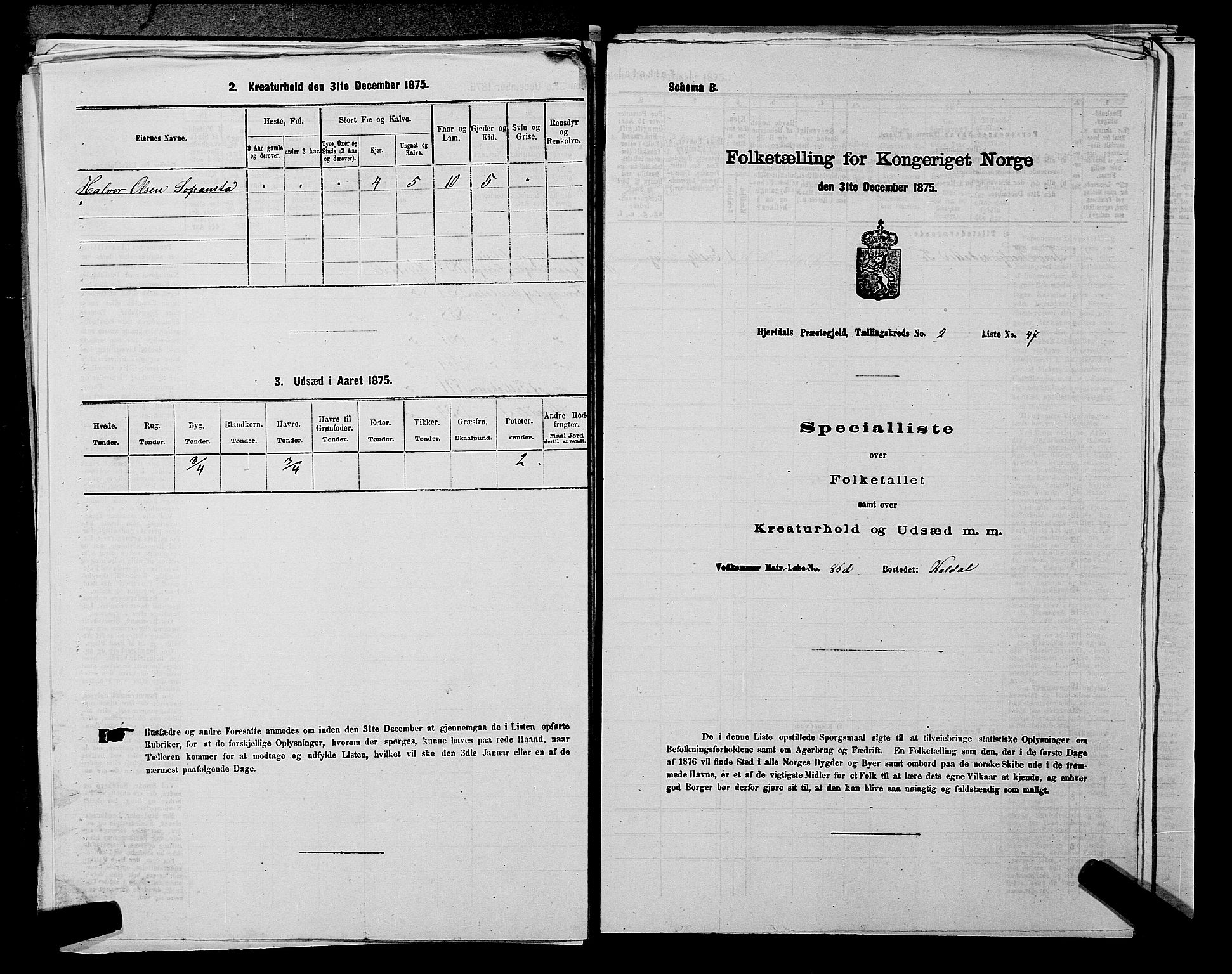 SAKO, Folketelling 1875 for 0827P Hjartdal prestegjeld, 1875, s. 301