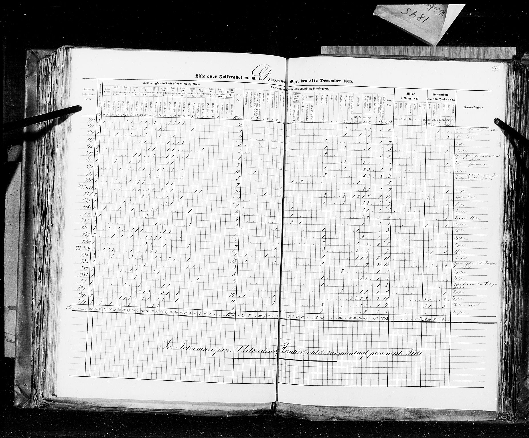 RA, Folketellingen 1845, bind 10: Kjøp- og ladesteder, 1845, s. 218