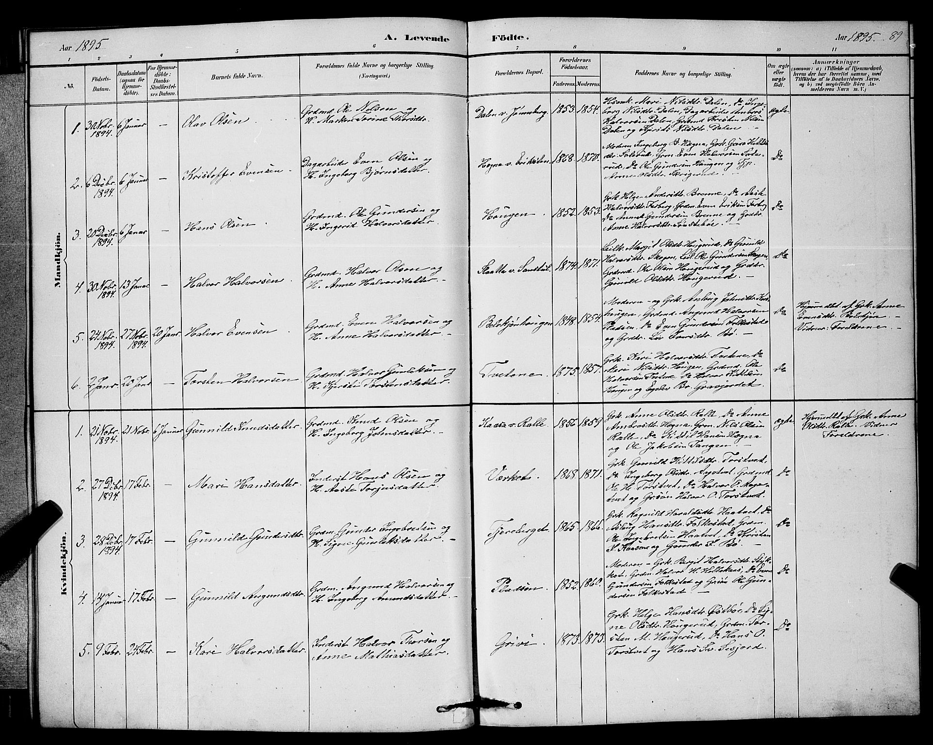 Bø kirkebøker, AV/SAKO-A-257/G/Ga/L0005: Klokkerbok nr. 5, 1883-1897, s. 89
