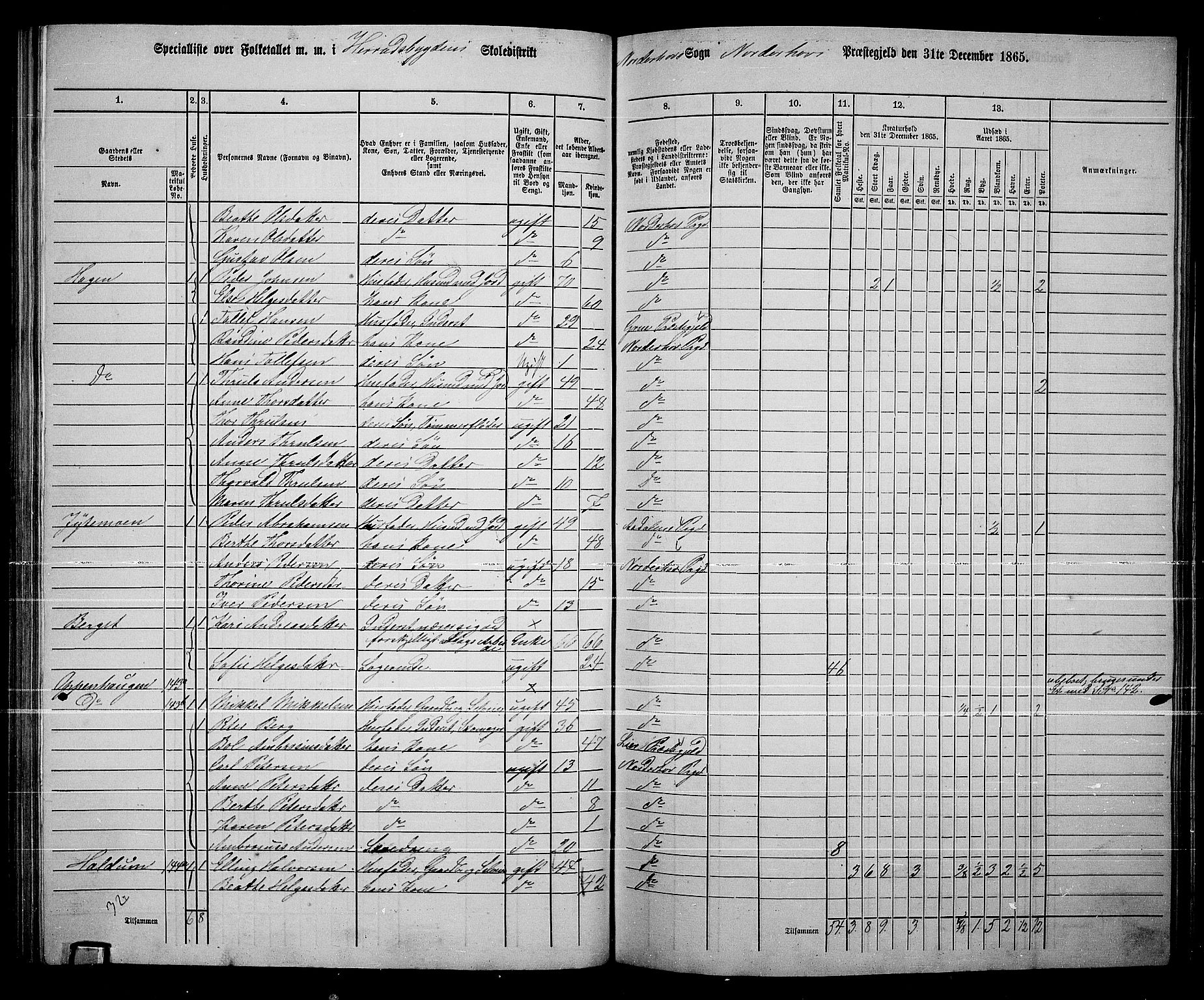RA, Folketelling 1865 for 0613L Norderhov prestegjeld, Norderhov sokn, Haug sokn og Lunder sokn, 1865, s. 174