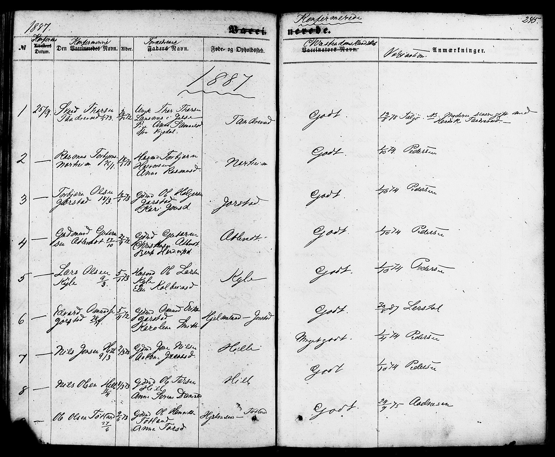 Nedstrand sokneprestkontor, SAST/A-101841/01/IV: Ministerialbok nr. A 10, 1861-1887, s. 245