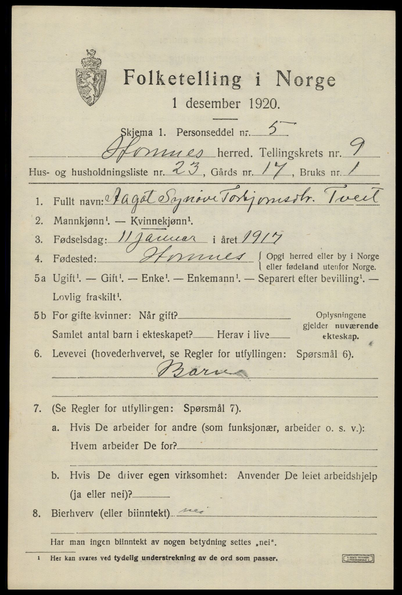 SAK, Folketelling 1920 for 0936 Hornnes herred, 1920, s. 2479