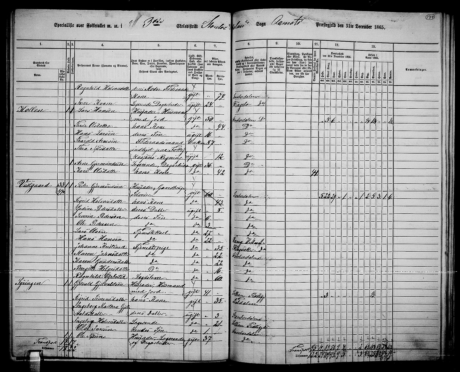 RA, Folketelling 1865 for 0429P Åmot prestegjeld, 1865, s. 155