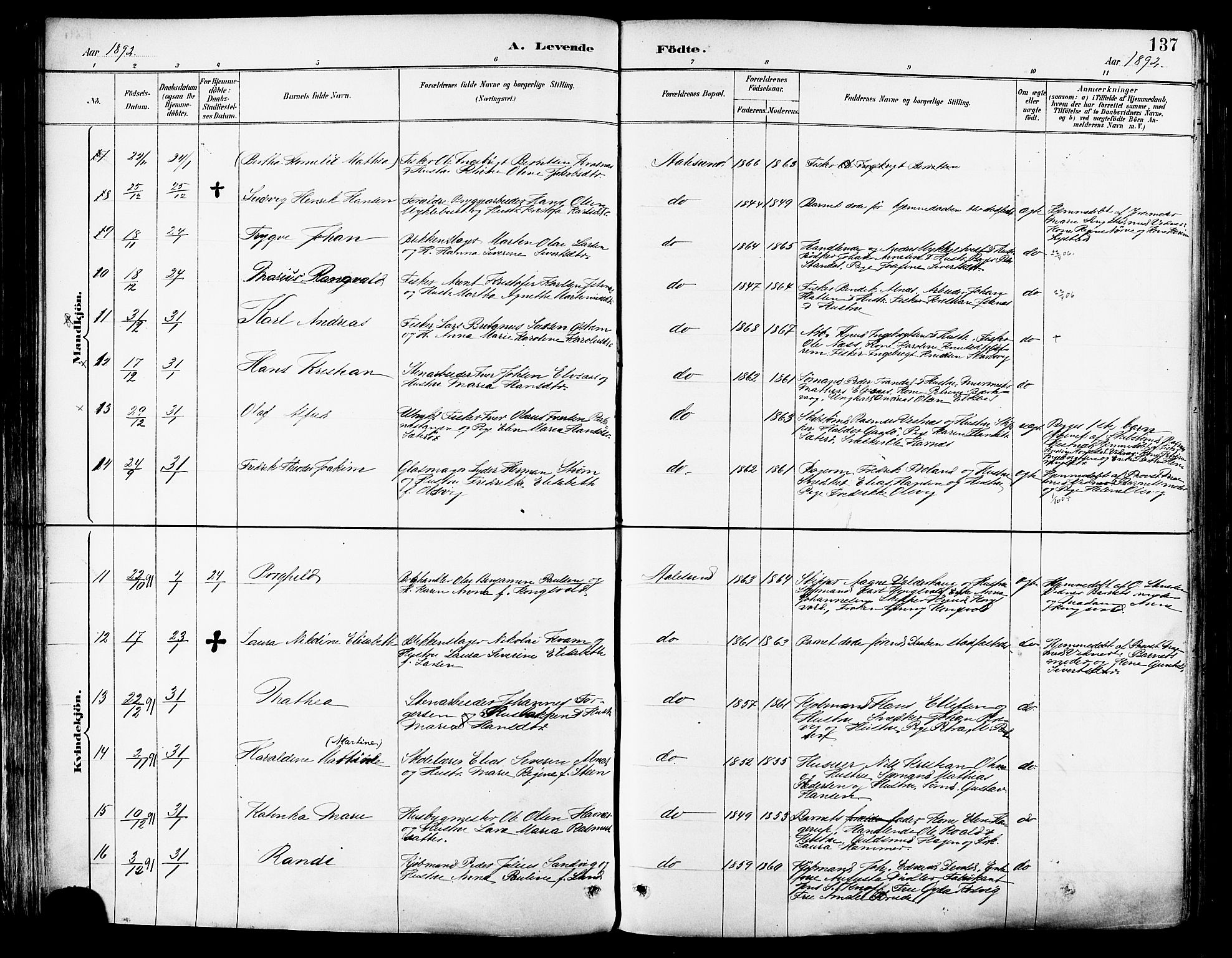 Ministerialprotokoller, klokkerbøker og fødselsregistre - Møre og Romsdal, AV/SAT-A-1454/529/L0455: Ministerialbok nr. 529A05, 1885-1893, s. 137