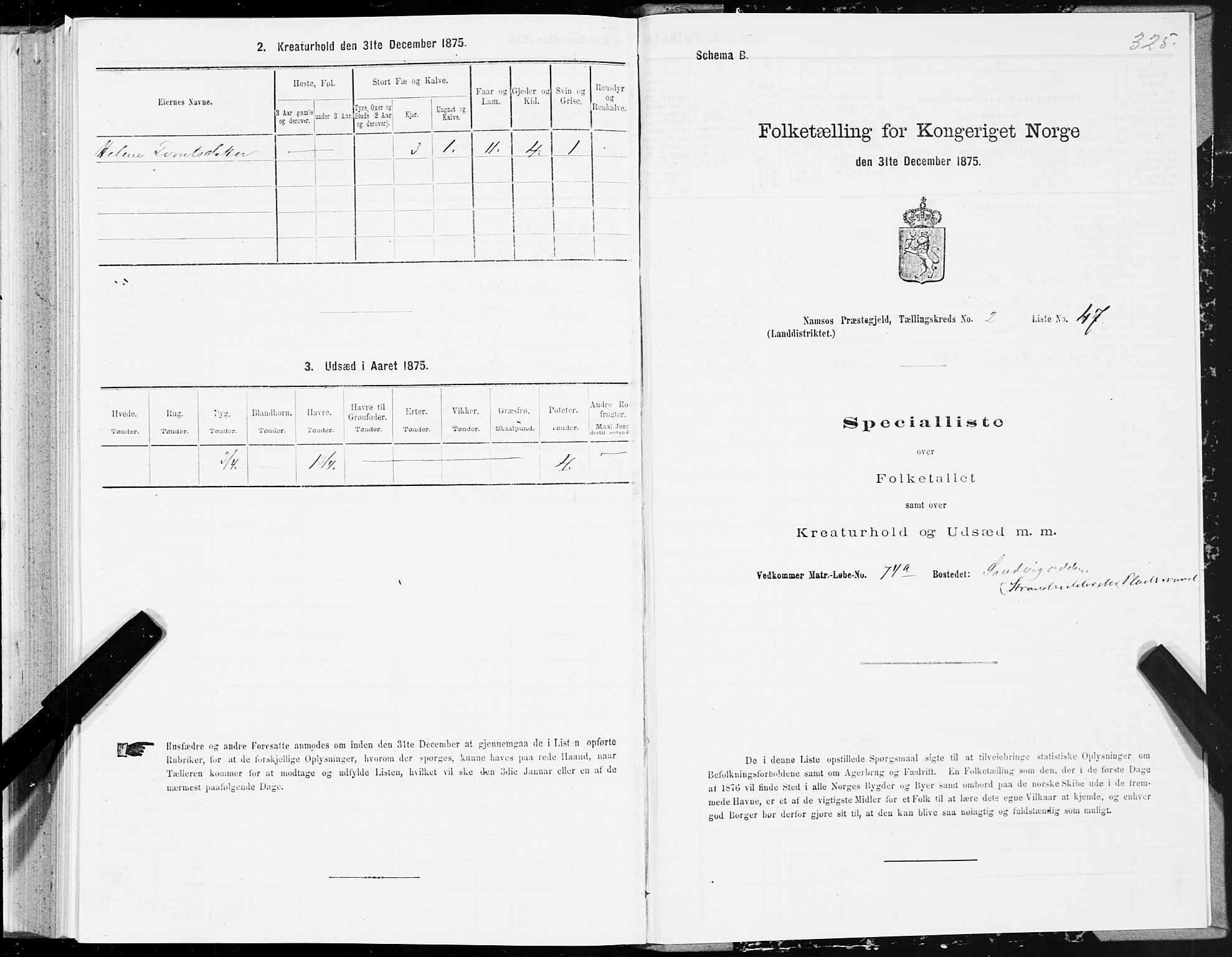 SAT, Folketelling 1875 for 1745L Namsos prestegjeld, Vemundvik sokn og Sævik sokn, 1875, s. 2325