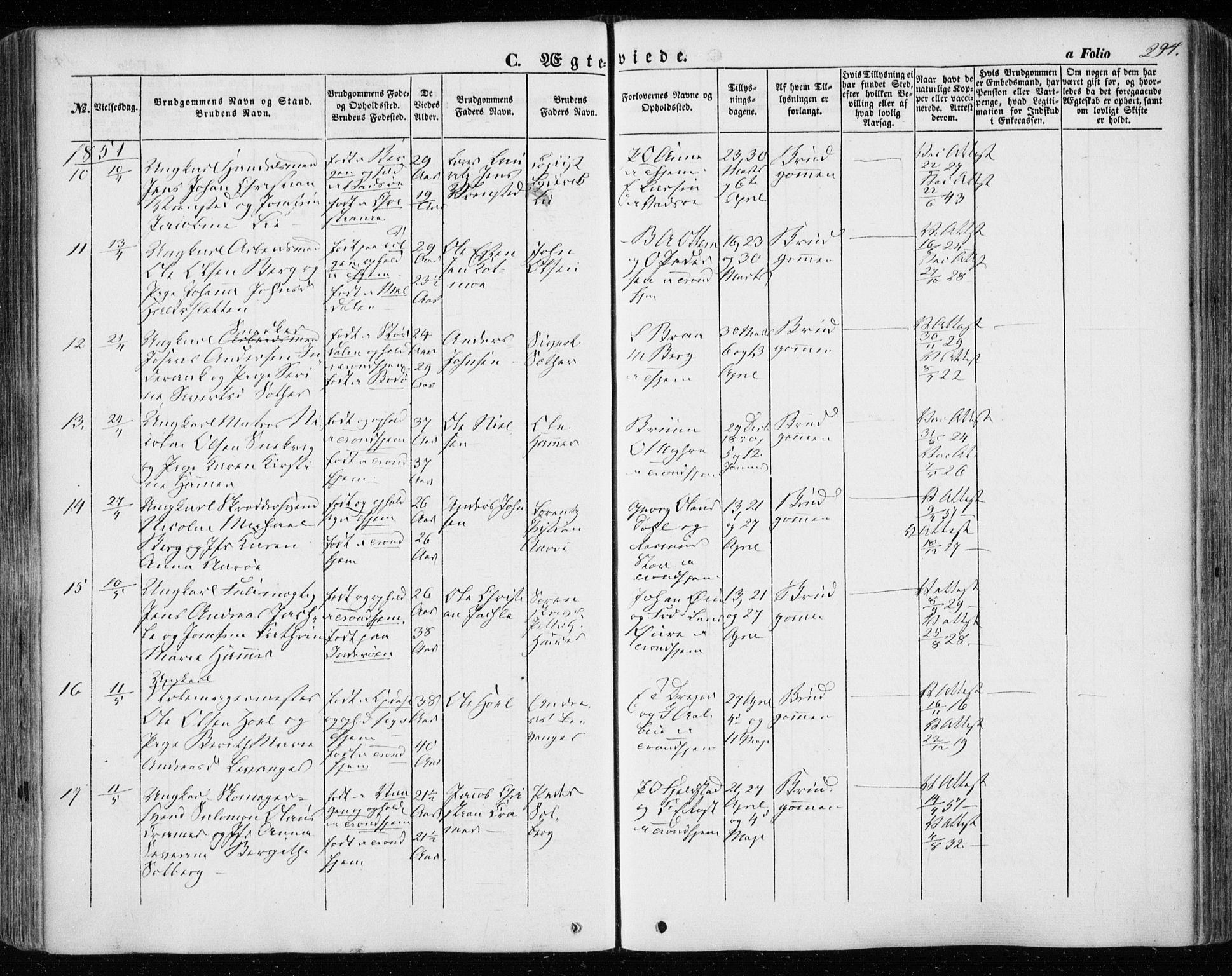 Ministerialprotokoller, klokkerbøker og fødselsregistre - Sør-Trøndelag, SAT/A-1456/601/L0051: Ministerialbok nr. 601A19, 1848-1857, s. 294