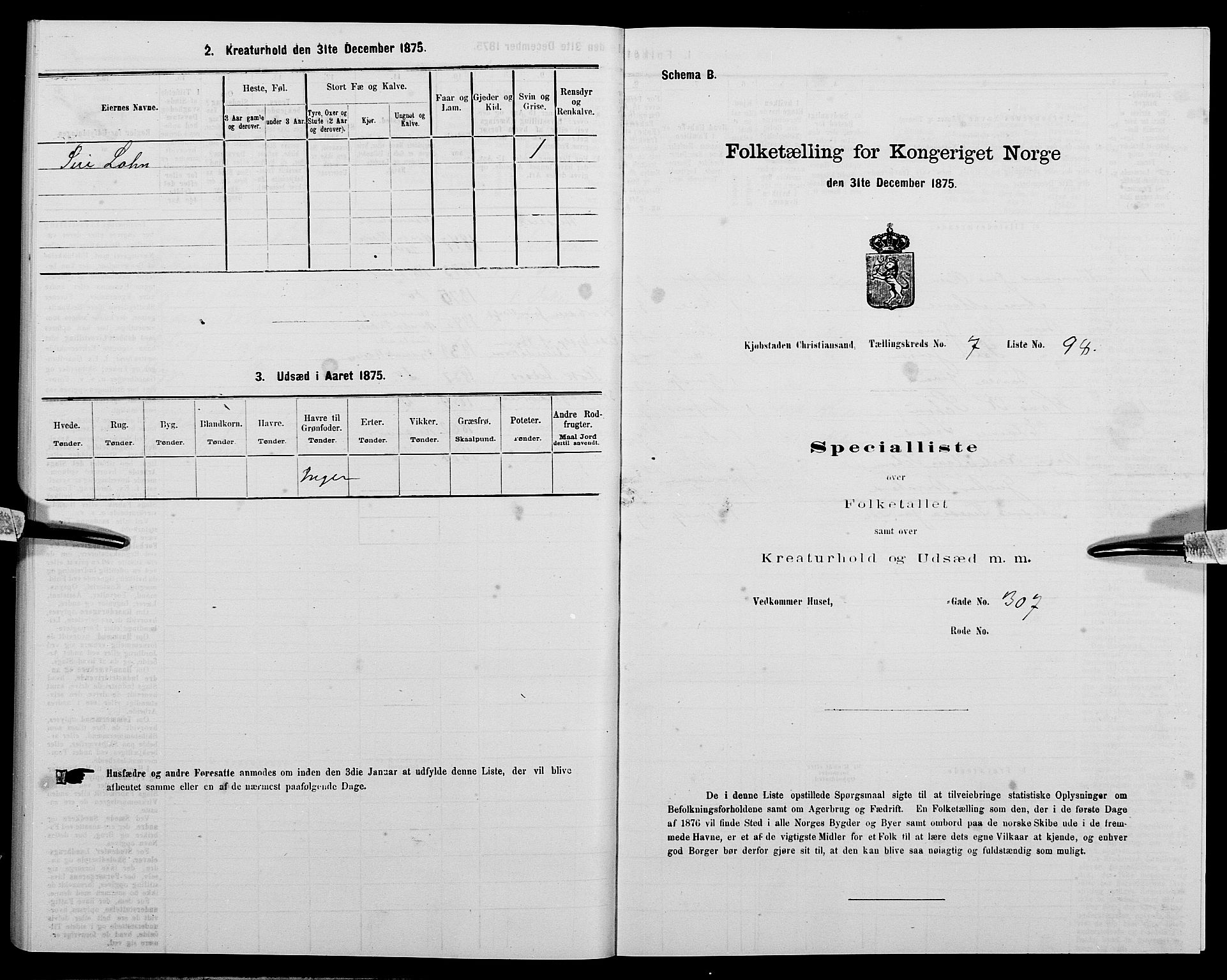 SAK, Folketelling 1875 for 1001P Kristiansand prestegjeld, 1875, s. 1197