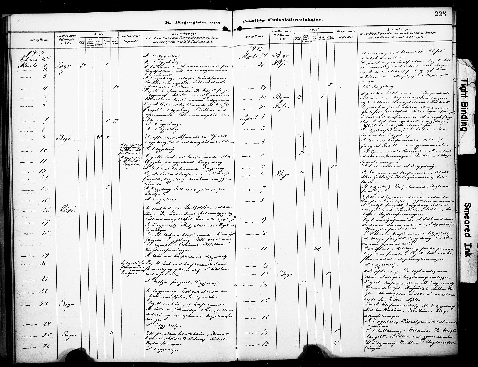 Bragernes kirkebøker, AV/SAKO-A-6/F/Fc/L0006: Ministerialbok nr. III 6, 1888-1899, s. 228