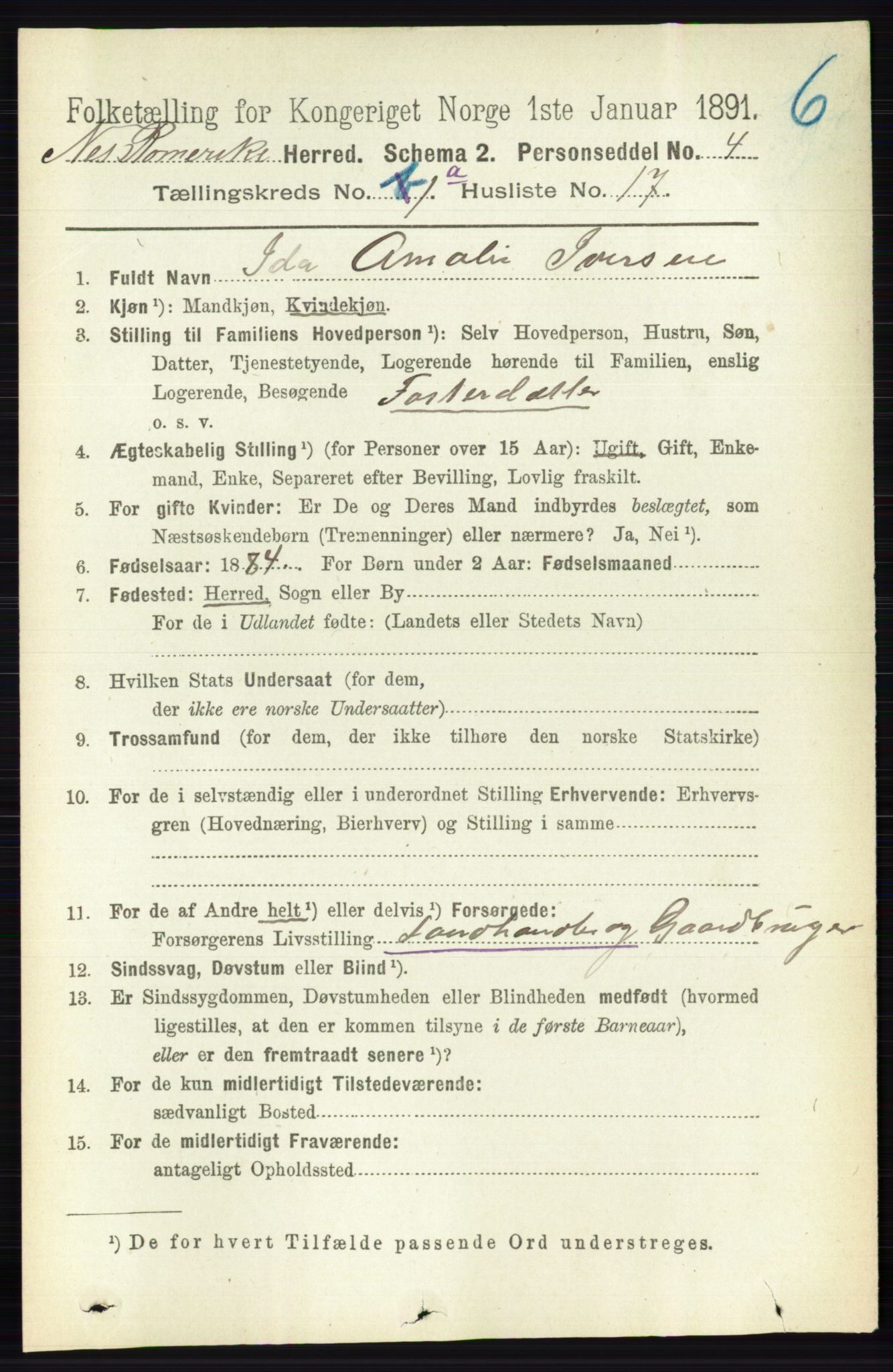 RA, Folketelling 1891 for 0236 Nes herred, 1891, s. 219