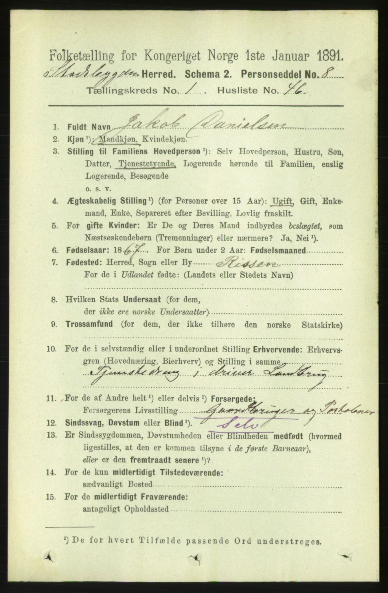 RA, Folketelling 1891 for 1625 Stadsbygd herred, 1891, s. 415