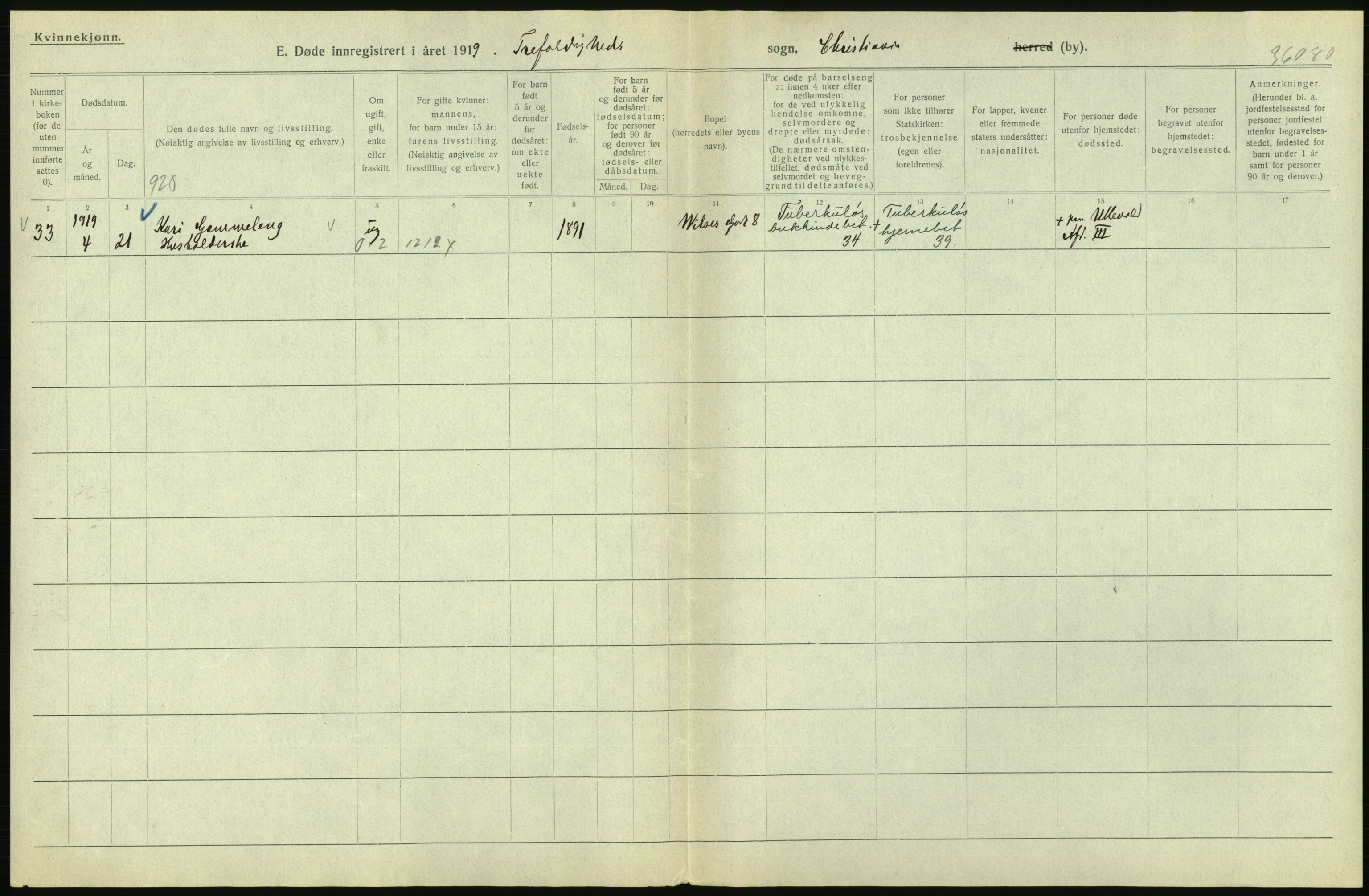 Statistisk sentralbyrå, Sosiodemografiske emner, Befolkning, AV/RA-S-2228/D/Df/Dfb/Dfbi/L0011: Kristiania: Døde, dødfødte, 1919