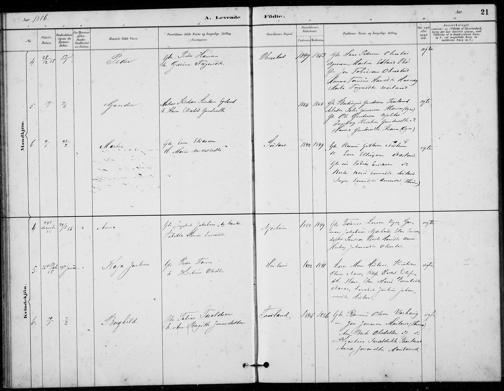 Hå sokneprestkontor, AV/SAST-A-101801/001/30BB/L0003: Klokkerbok nr. B 3, 1883-1894, s. 21