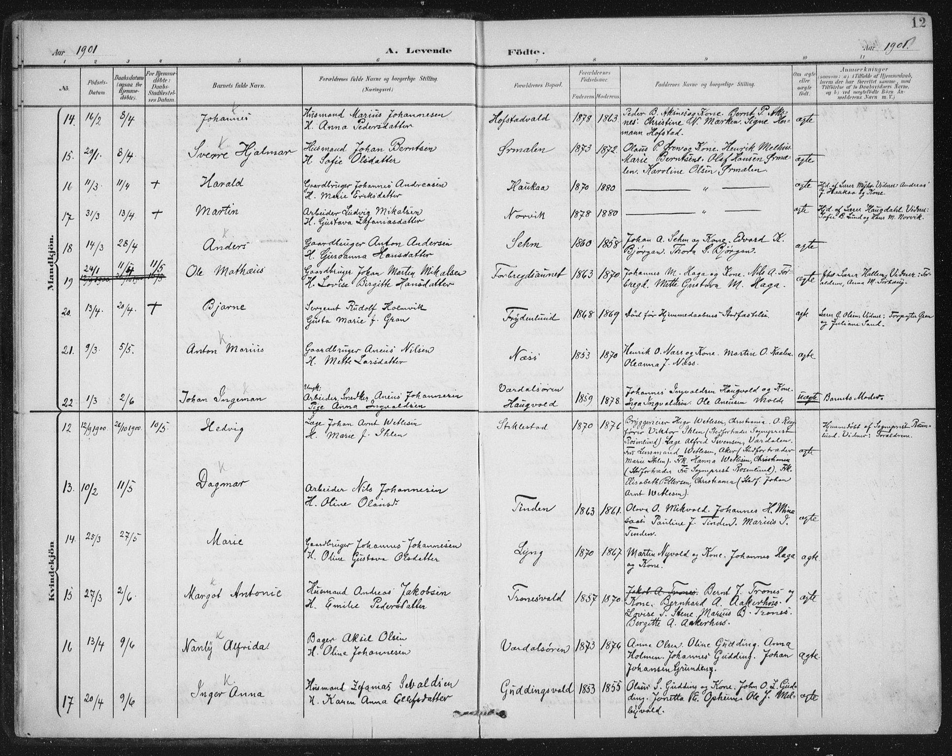 Ministerialprotokoller, klokkerbøker og fødselsregistre - Nord-Trøndelag, SAT/A-1458/723/L0246: Ministerialbok nr. 723A15, 1900-1917, s. 12