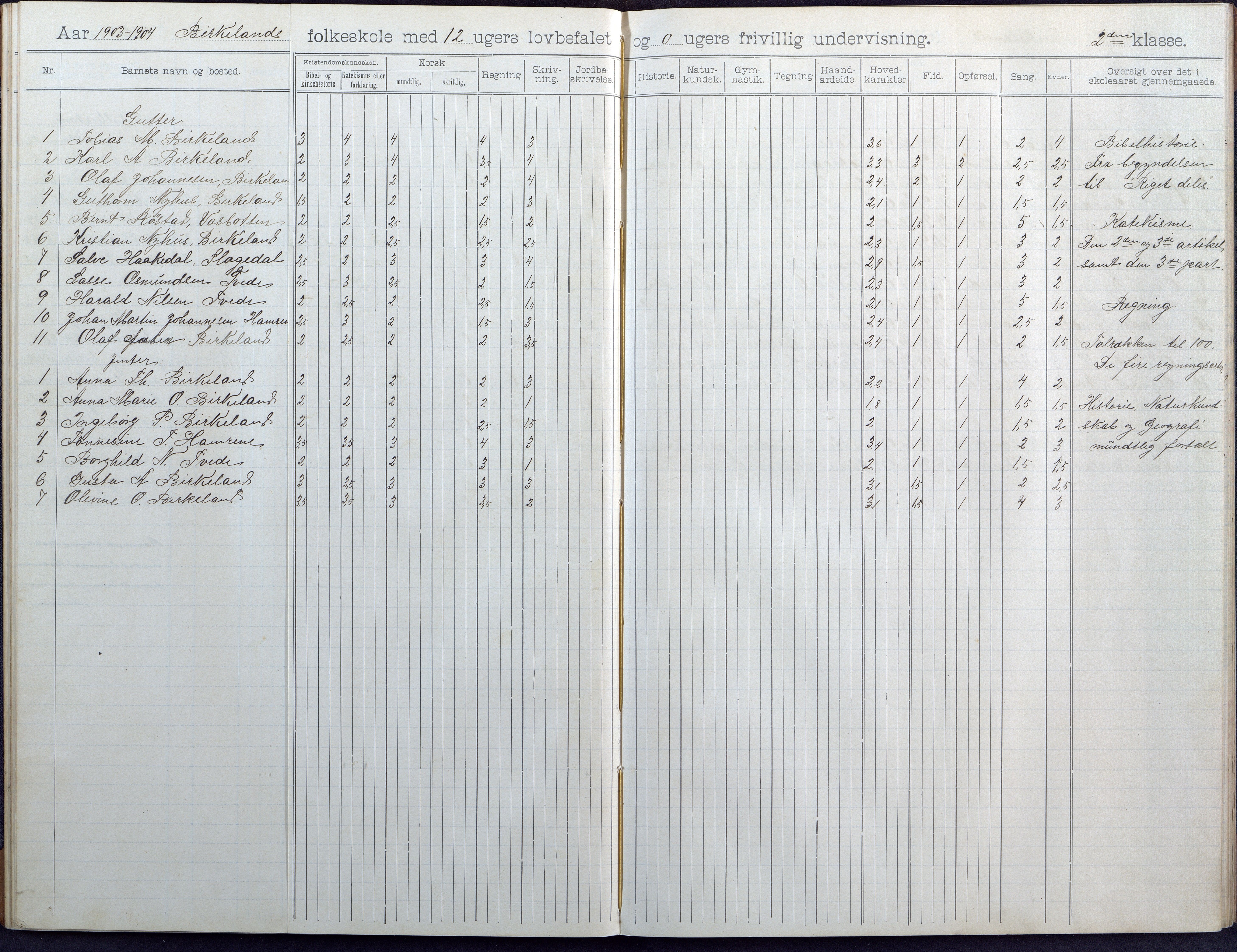 Birkenes kommune, Birkenes krets/Birkeland folkeskole frem til 1991, AAKS/KA0928-550a_91/F02/L0005: Skoleprotokoll, 1898-1911