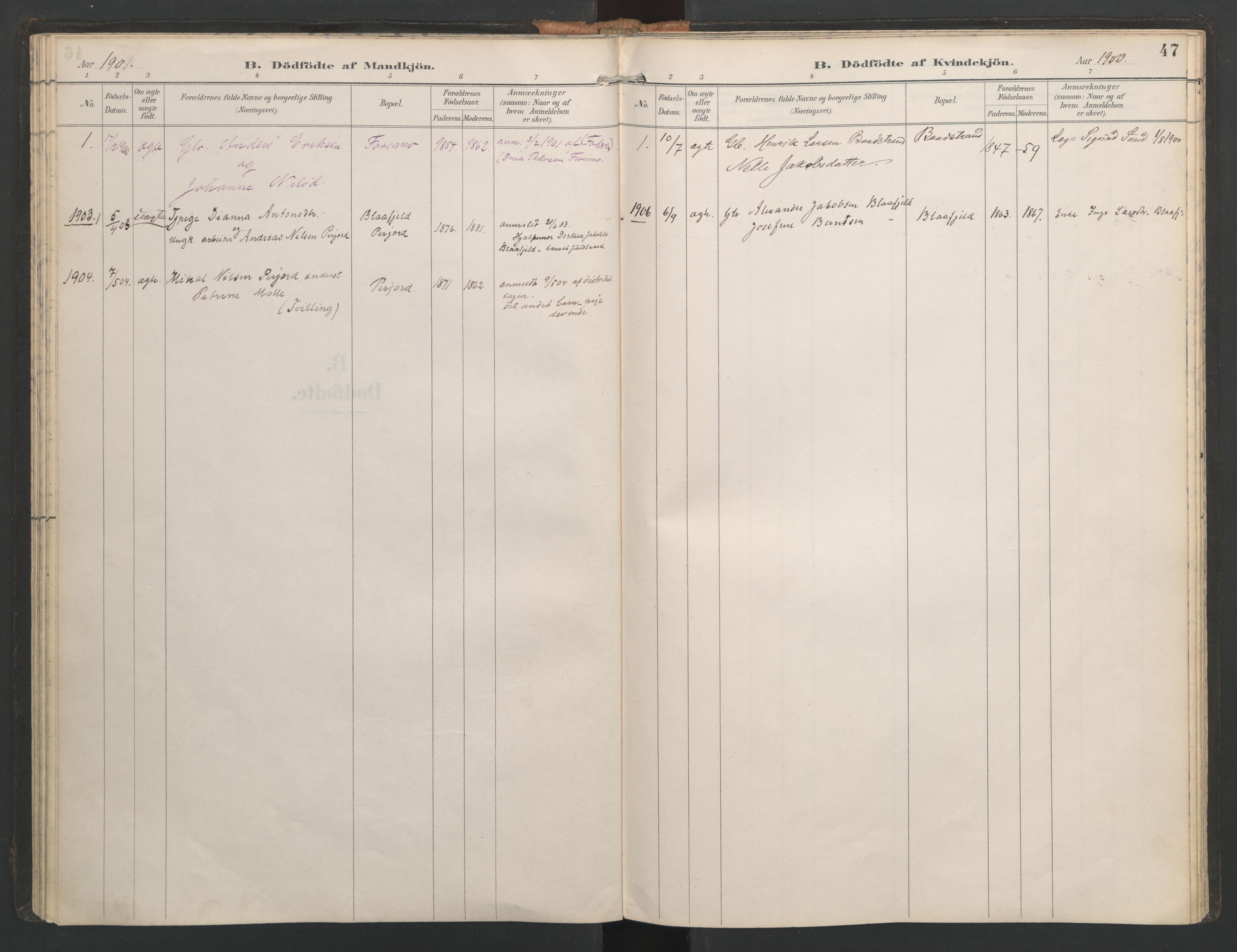 Ministerialprotokoller, klokkerbøker og fødselsregistre - Nordland, SAT/A-1459/821/L0317: Ministerialbok nr. 821A01, 1892-1907, s. 47