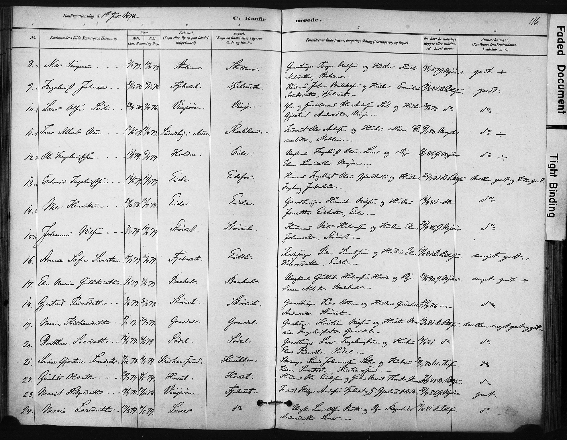 Ministerialprotokoller, klokkerbøker og fødselsregistre - Sør-Trøndelag, SAT/A-1456/631/L0512: Ministerialbok nr. 631A01, 1879-1912, s. 116