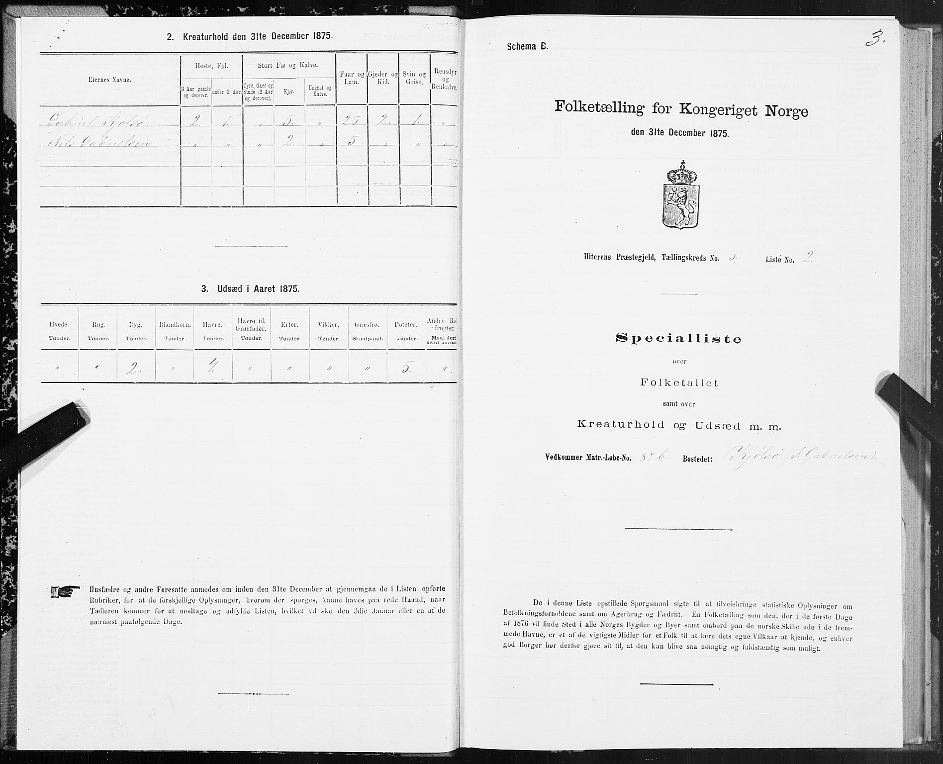 SAT, Folketelling 1875 for 1617P Hitra prestegjeld, 1875, s. 3003