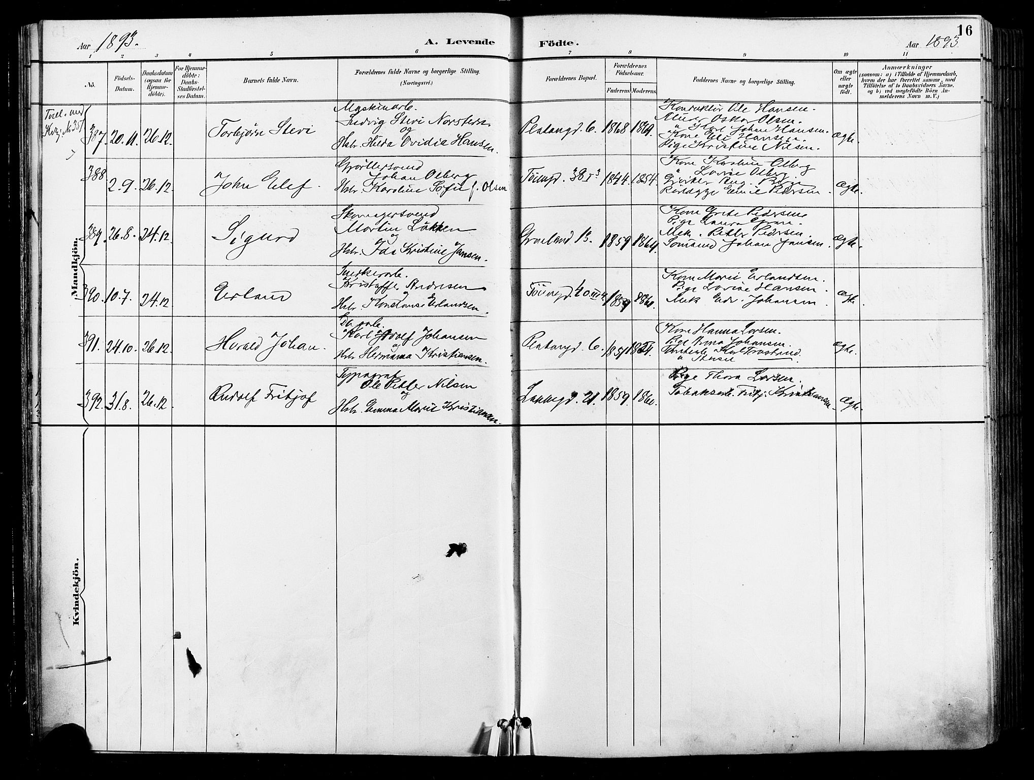 Grønland prestekontor Kirkebøker, SAO/A-10848/F/Fa/L0012: Ministerialbok nr. 12, 1893-1900, s. 16