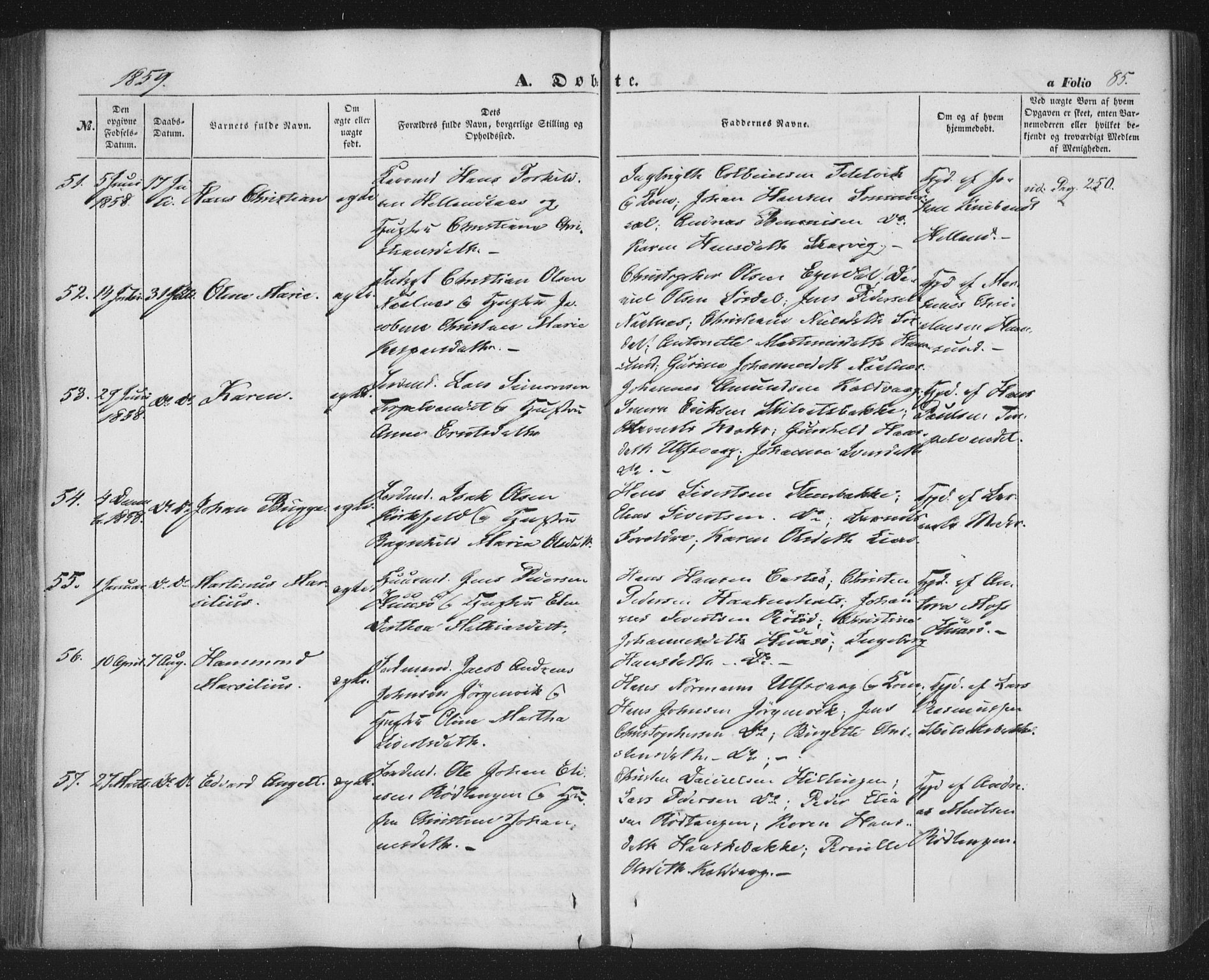 Ministerialprotokoller, klokkerbøker og fødselsregistre - Nordland, AV/SAT-A-1459/859/L0844: Ministerialbok nr. 859A04, 1849-1862, s. 85