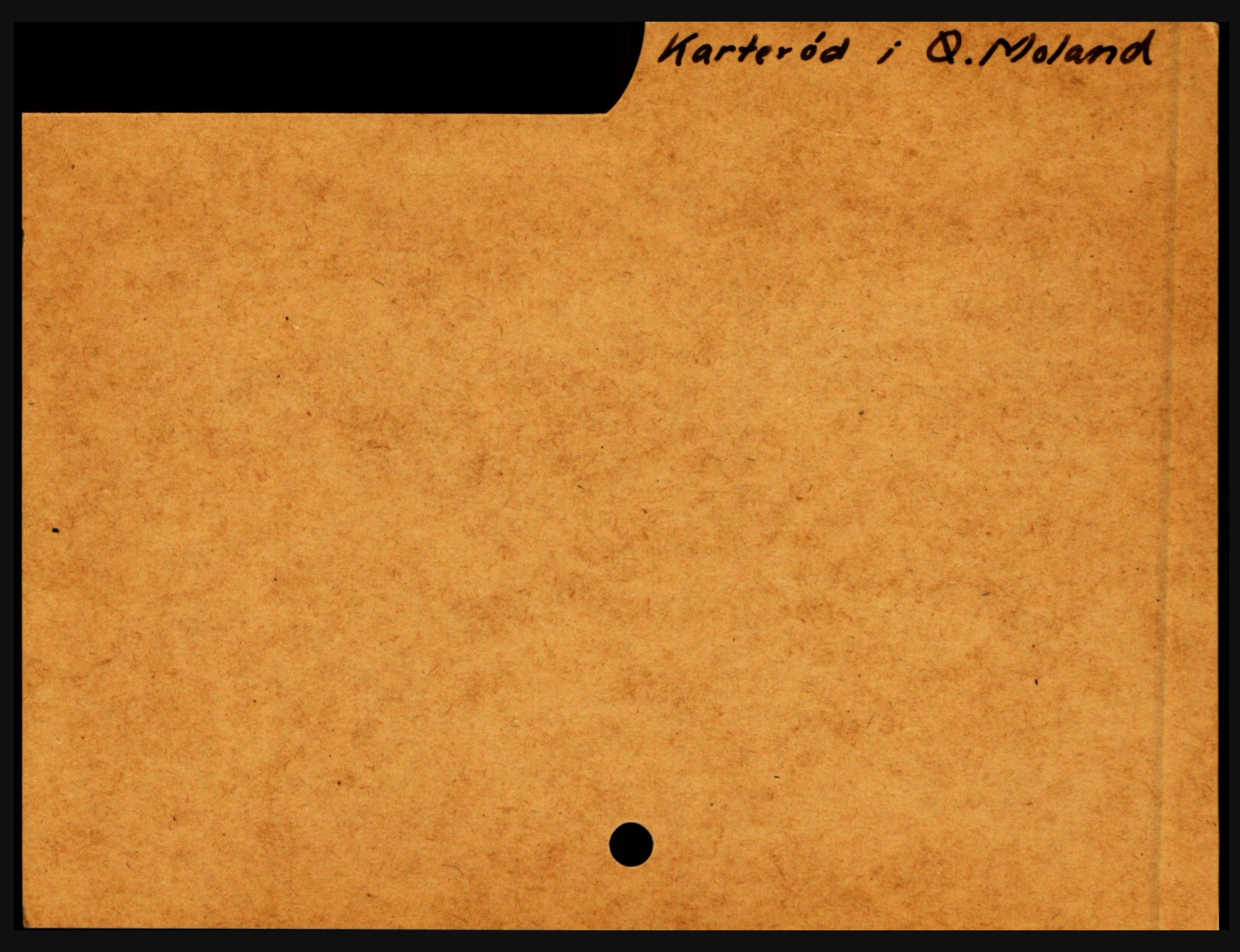Nedenes sorenskriveri før 1824, SAK/1221-0007/H, s. 14529