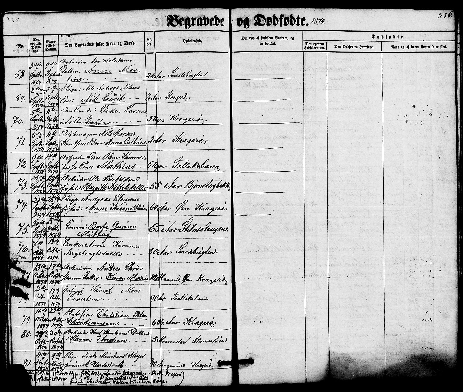 Kragerø kirkebøker, AV/SAKO-A-278/G/Ga/L0005: Klokkerbok nr. 5, 1865-1881, s. 256