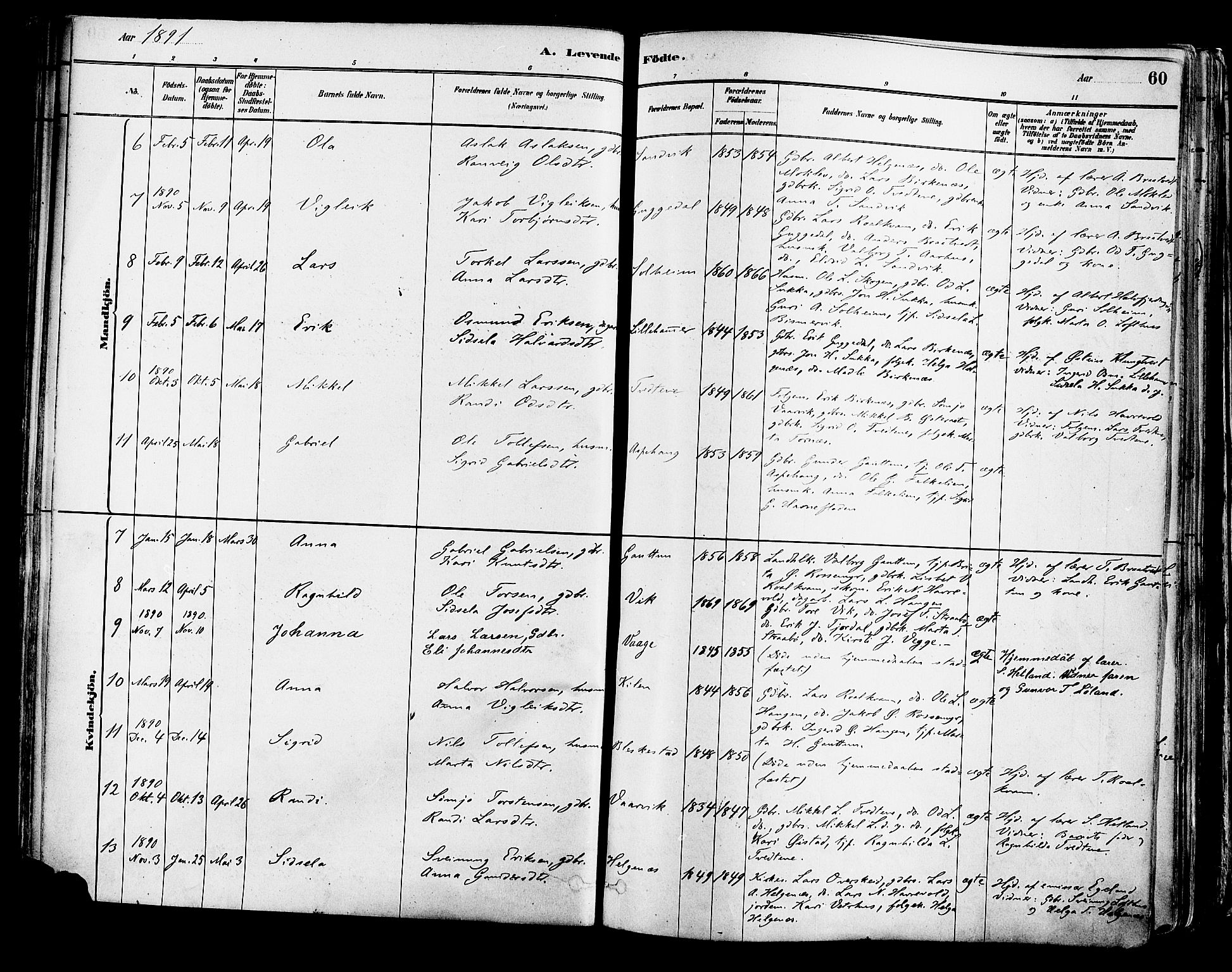 Suldal sokneprestkontor, AV/SAST-A-101845/01/IV/L0011: Ministerialbok nr. A 11, 1878-1900, s. 60