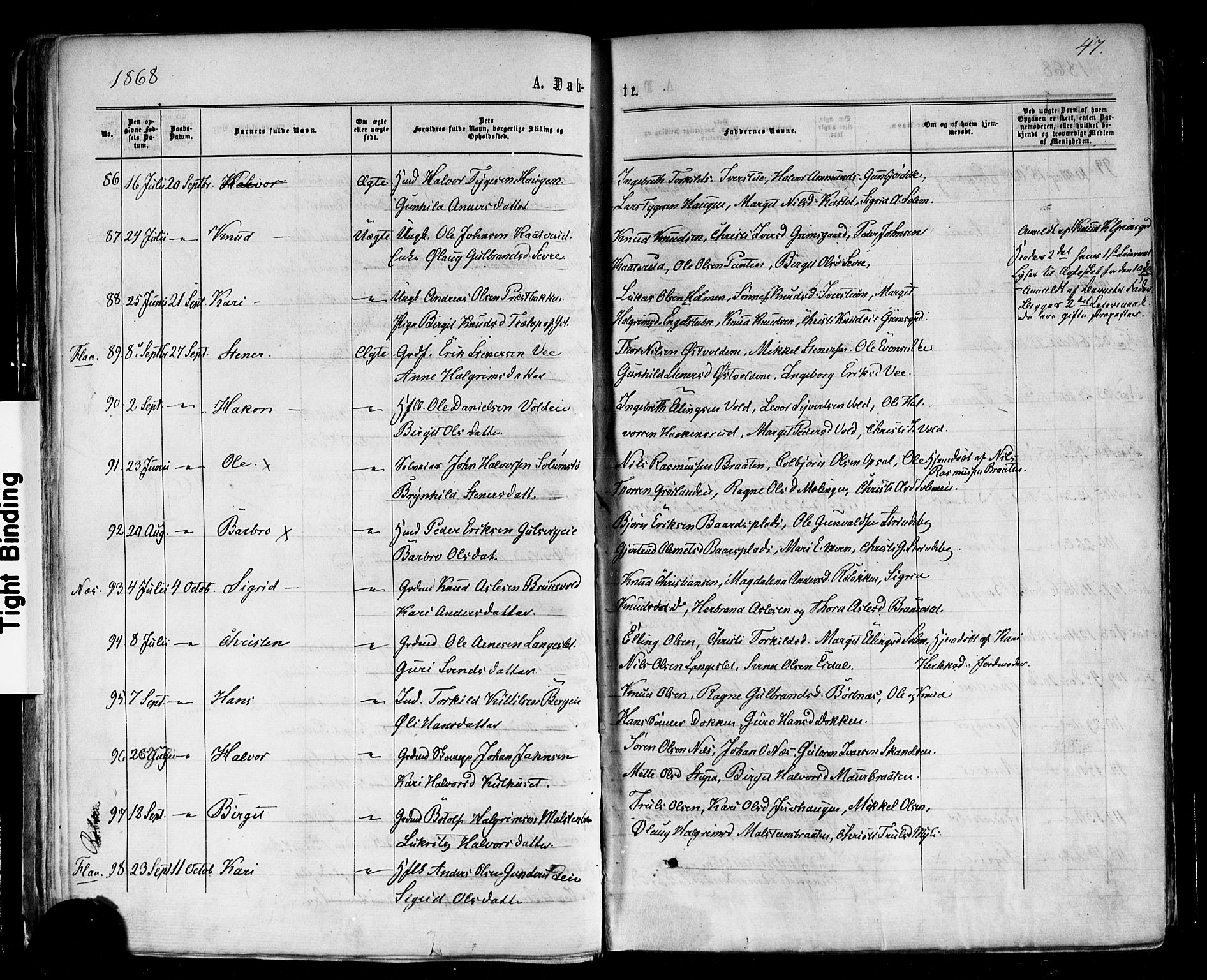 Nes kirkebøker, AV/SAKO-A-236/F/Fa/L0010: Ministerialbok nr. 10, 1864-1880, s. 47