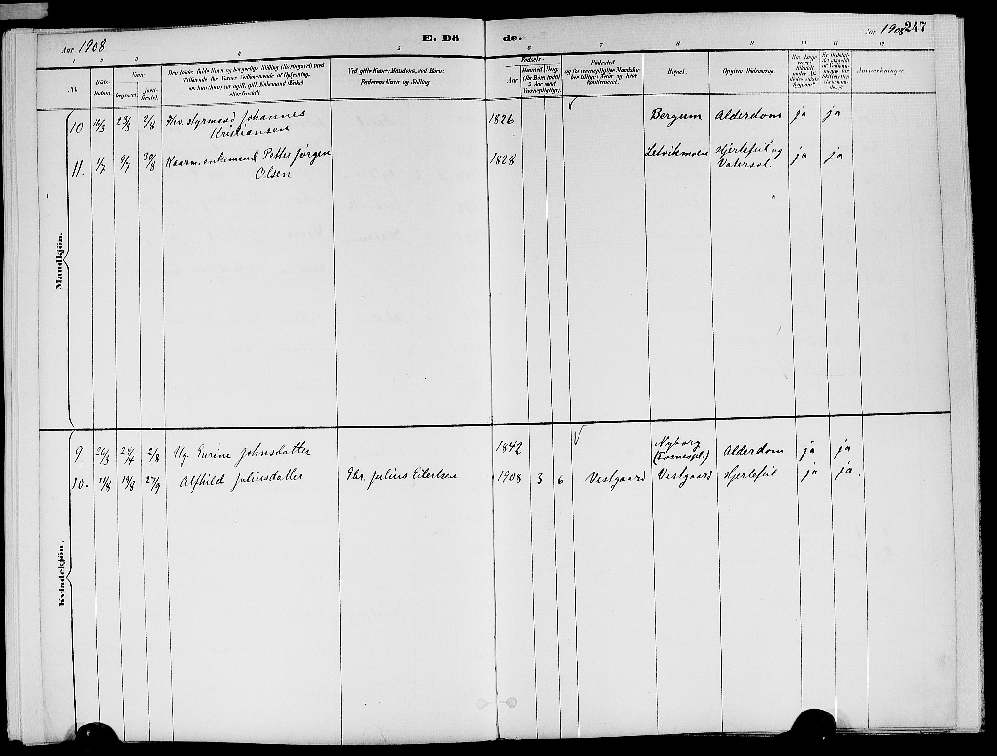 Ministerialprotokoller, klokkerbøker og fødselsregistre - Nord-Trøndelag, SAT/A-1458/773/L0617: Ministerialbok nr. 773A08, 1887-1910, s. 247
