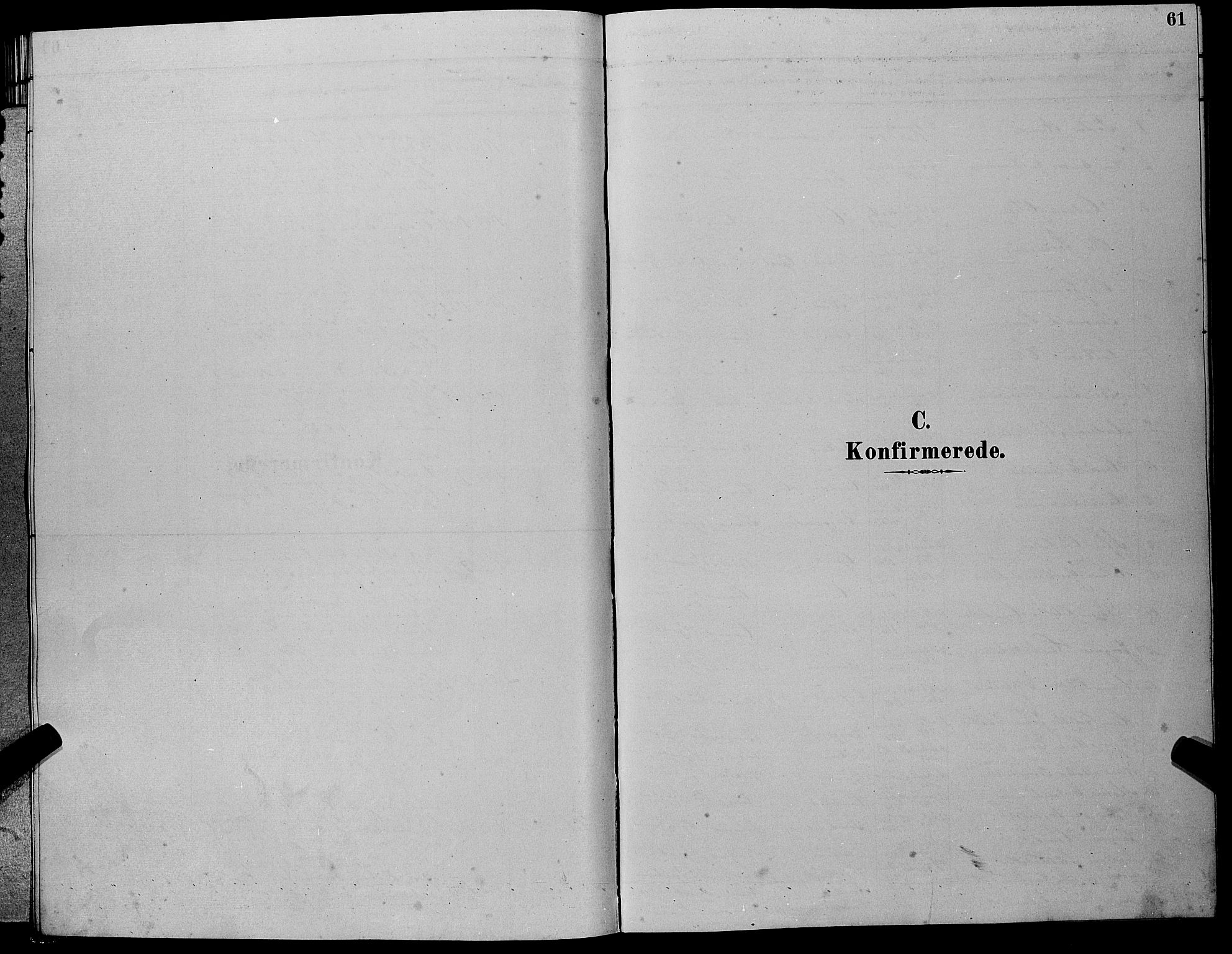 Hole kirkebøker, AV/SAKO-A-228/G/Gb/L0002: Klokkerbok nr. II 2, 1878-1889, s. 61