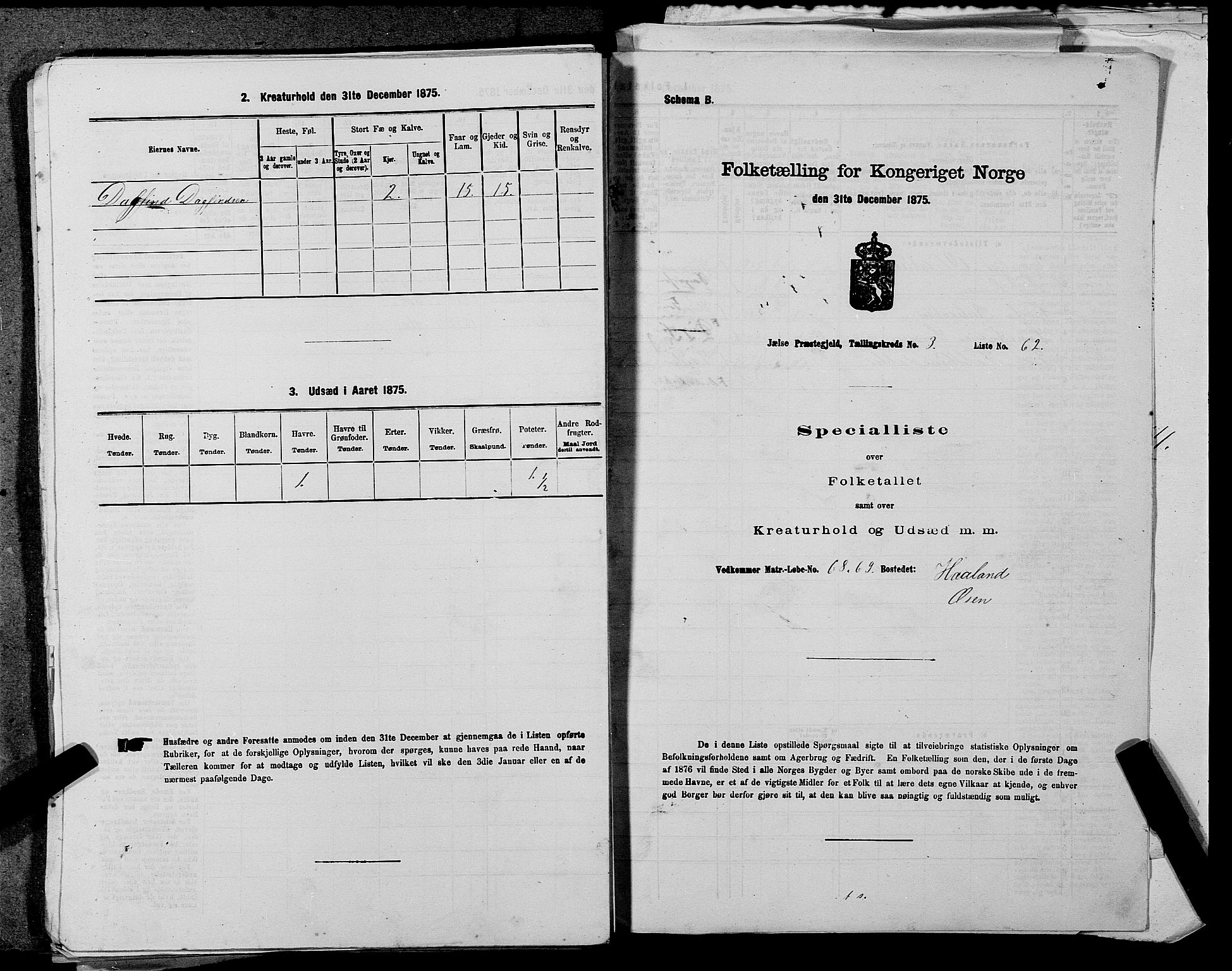 SAST, Folketelling 1875 for 1138P Jelsa prestegjeld, 1875, s. 316