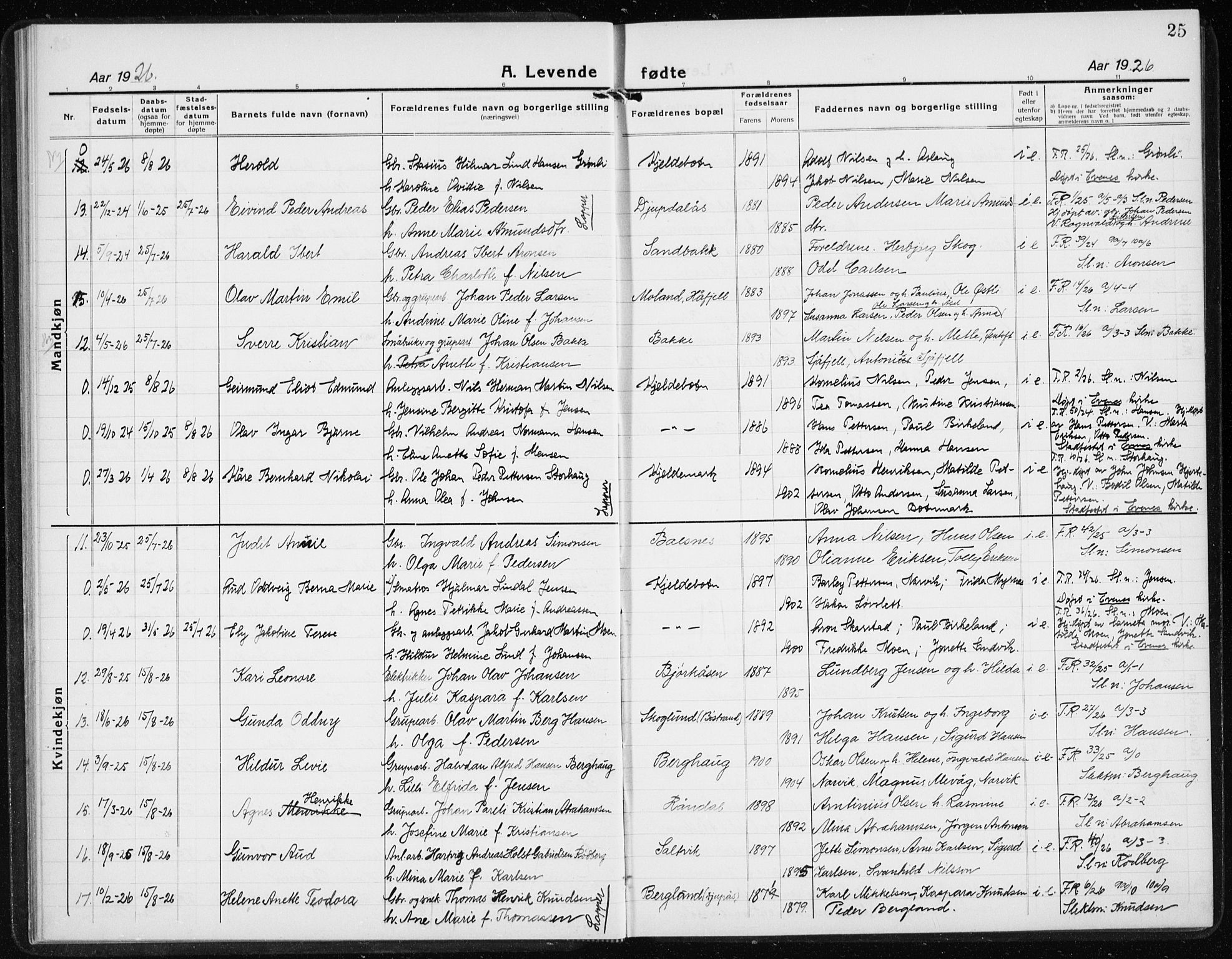 Ministerialprotokoller, klokkerbøker og fødselsregistre - Nordland, AV/SAT-A-1459/869/L0975: Klokkerbok nr. 869C01, 1923-1939, s. 25