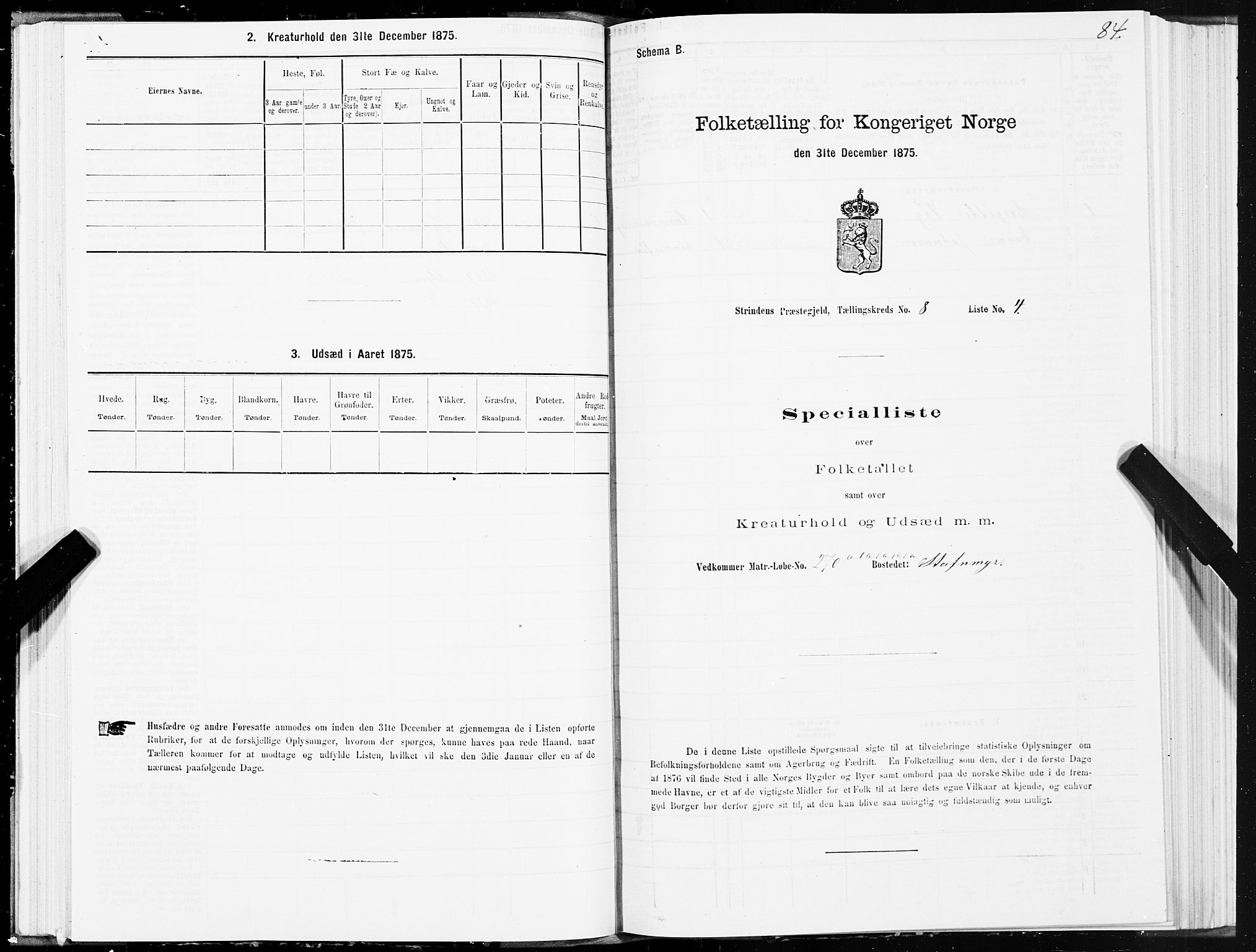 SAT, Folketelling 1875 for 1660P Strinda prestegjeld, 1875, s. 4084