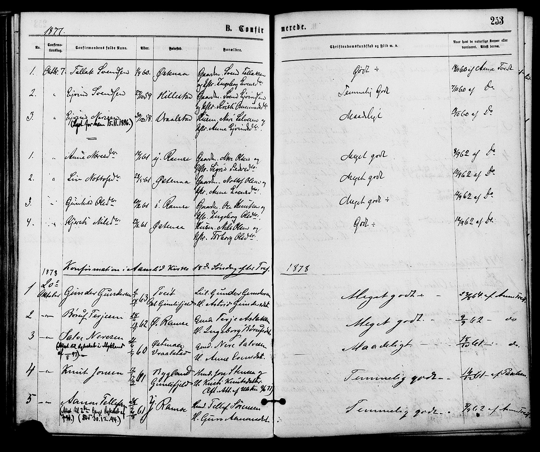 Åmli sokneprestkontor, AV/SAK-1111-0050/F/Fa/Fac/L0009: Ministerialbok nr. A 9 /3, 1869-1884, s. 253